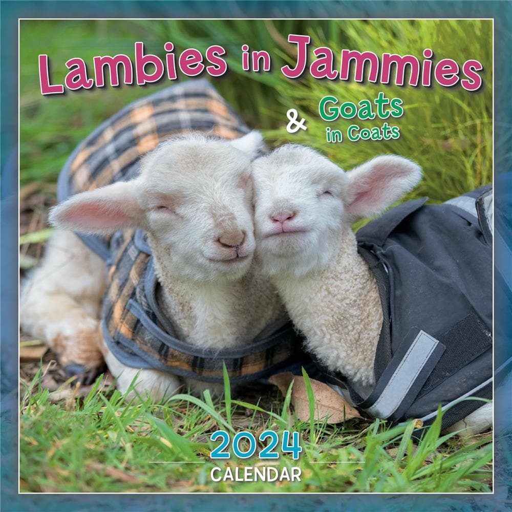 9781531936655 Lambies in Jammies and Goats in Coats 2024 Mini Calendar