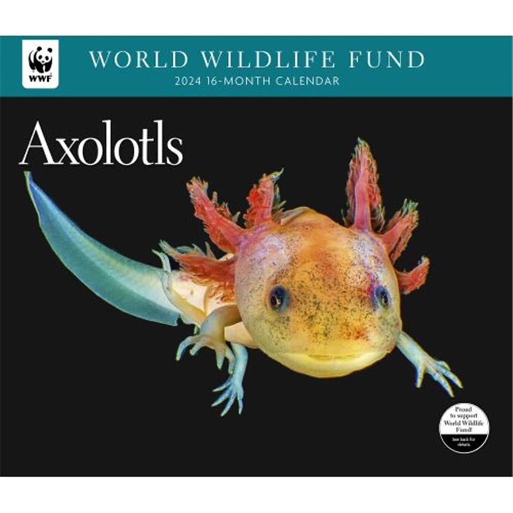 Inky Axolotl