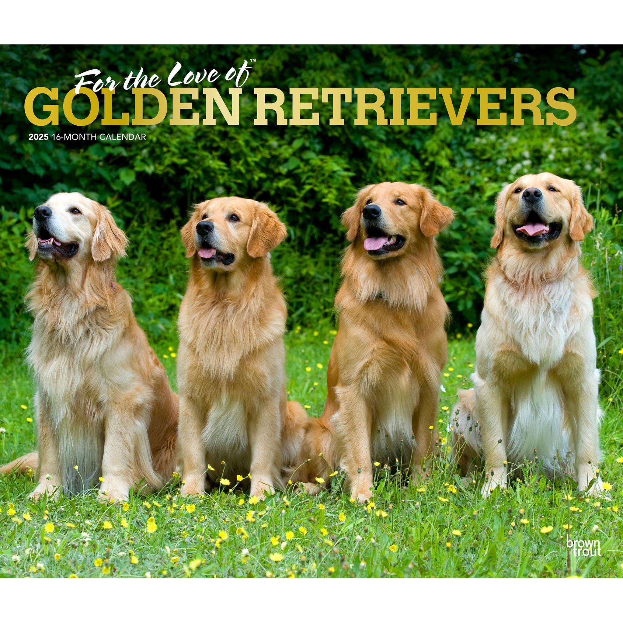 For the Love of Golden Retrievers Deluxe Wall 2025 Calendar