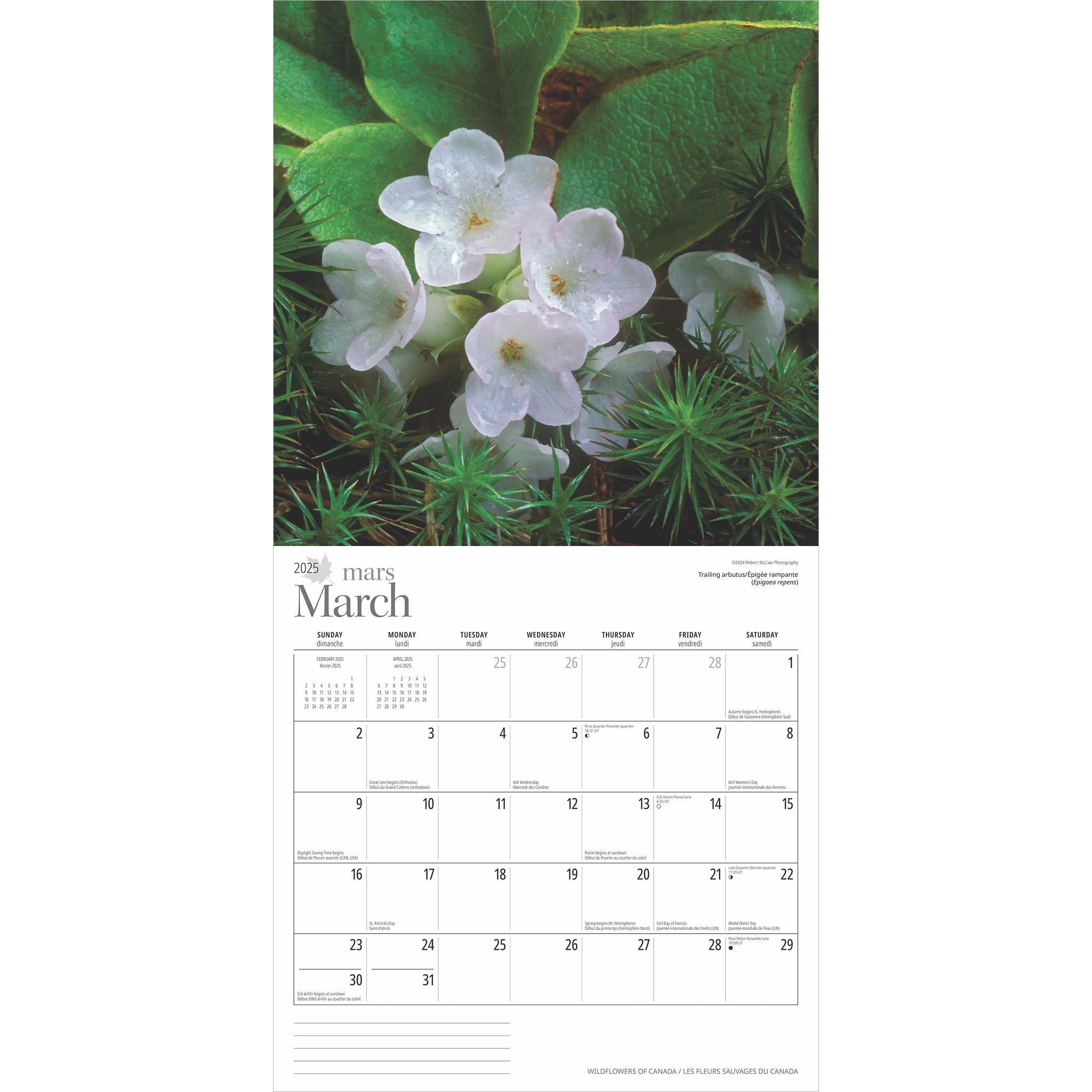 Wildflowers Of Canada Wall 2025 Calendar