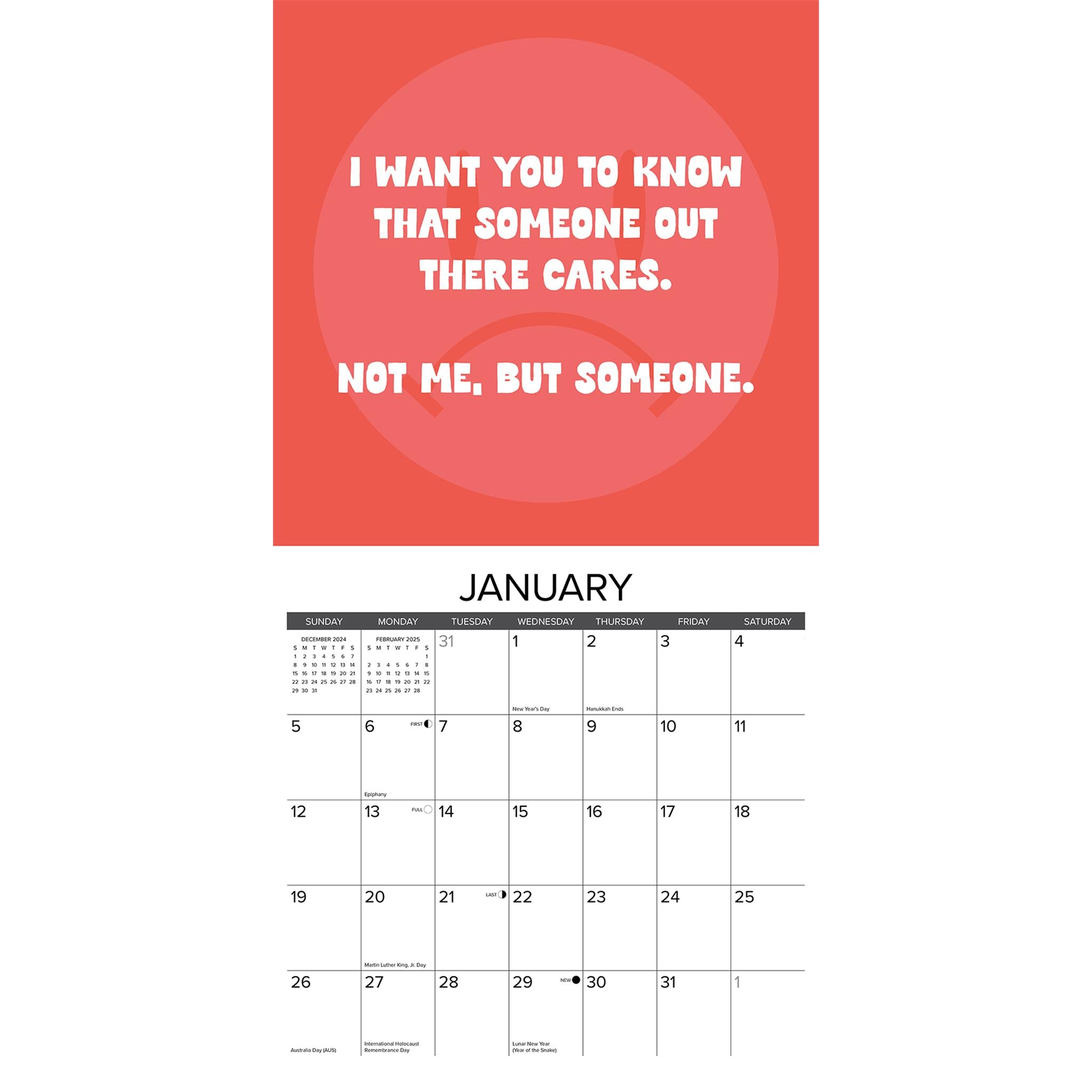 You Dont Got This Wall 2025 Calendar