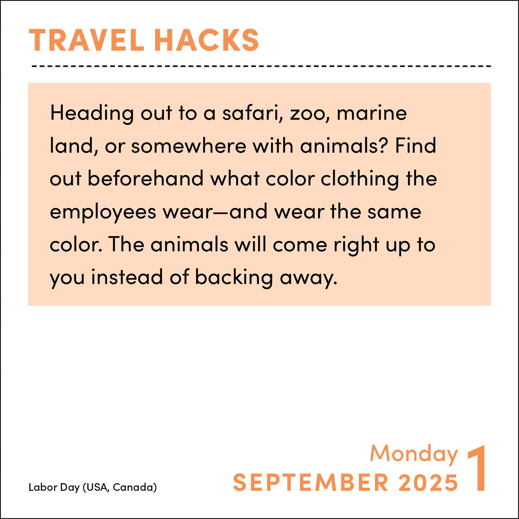 Travel Hacks Box 2025 Calendar - Online Exclusive