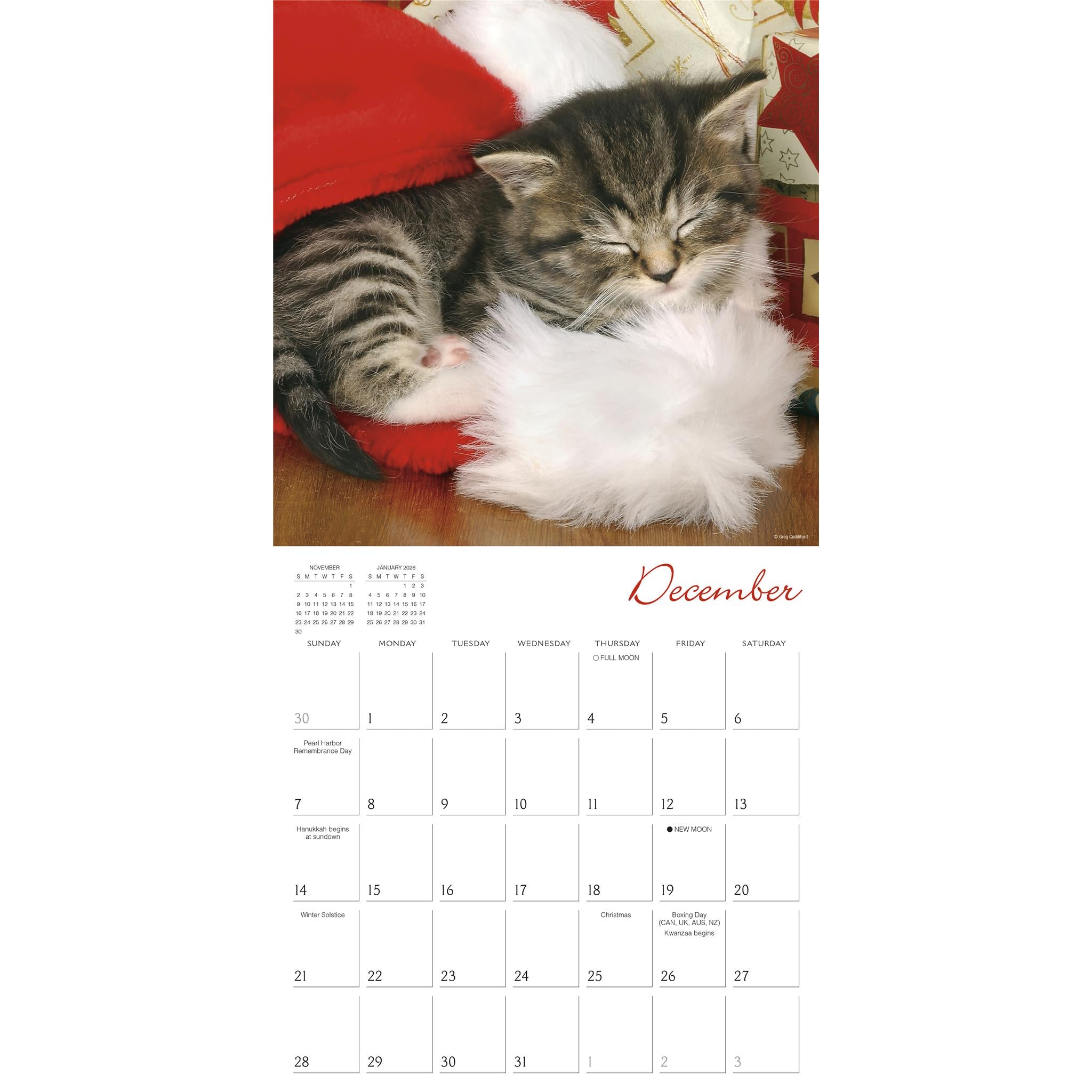 Cat Naps Wall 2025 Calendar - Online Exclusive