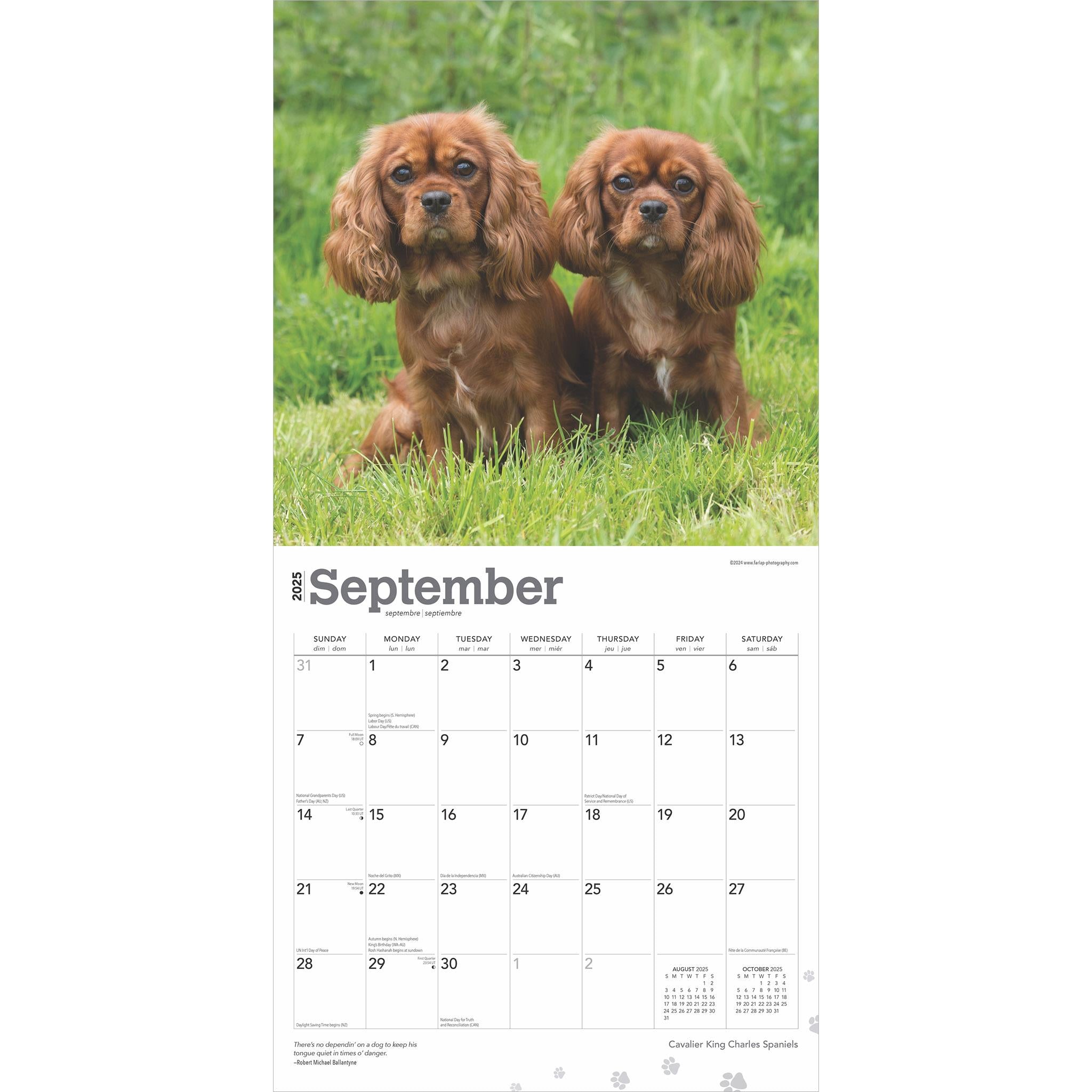 Cavalier King Charles Spaniels Wall 2025 Calendar