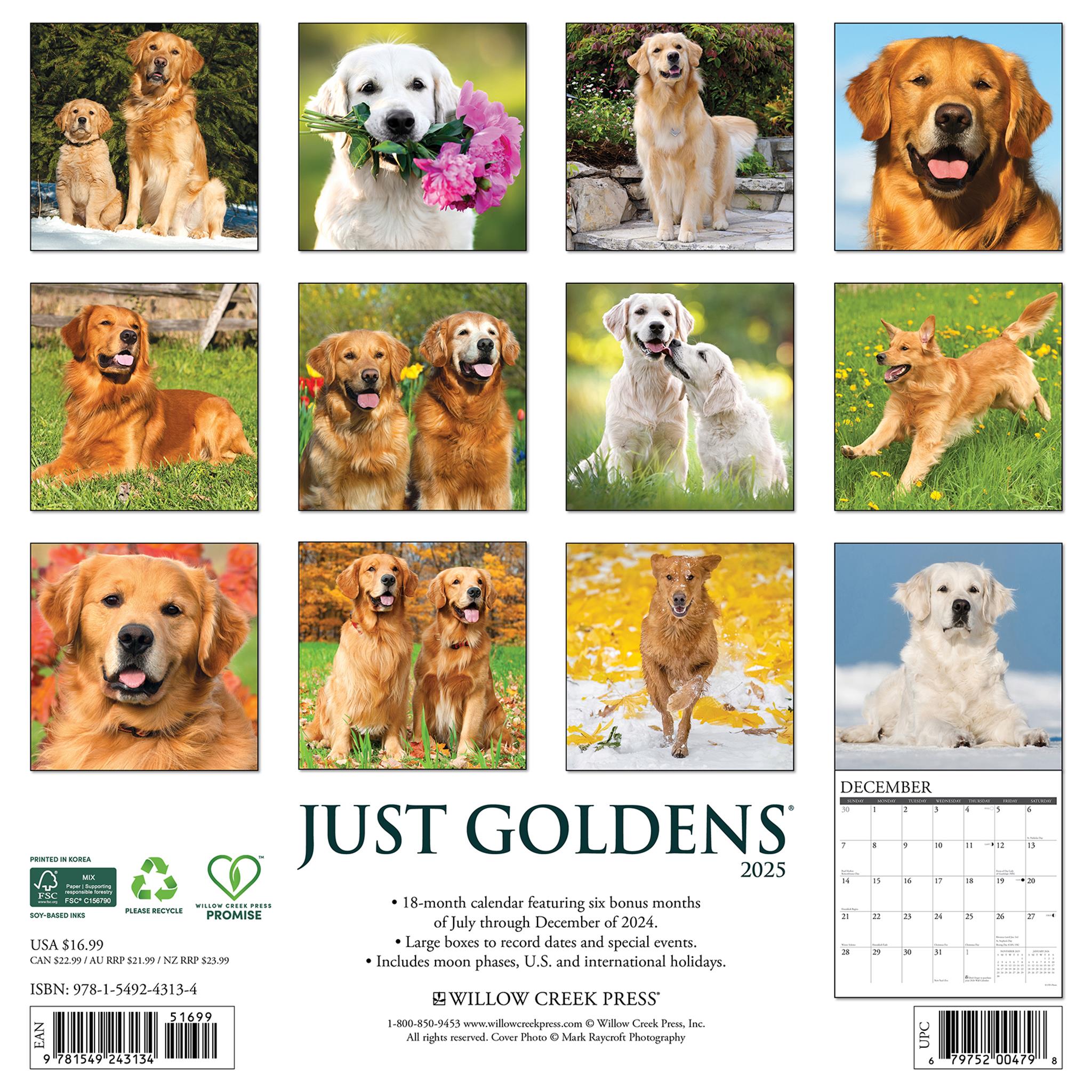 Just Goldens Wall 2025 Calendar