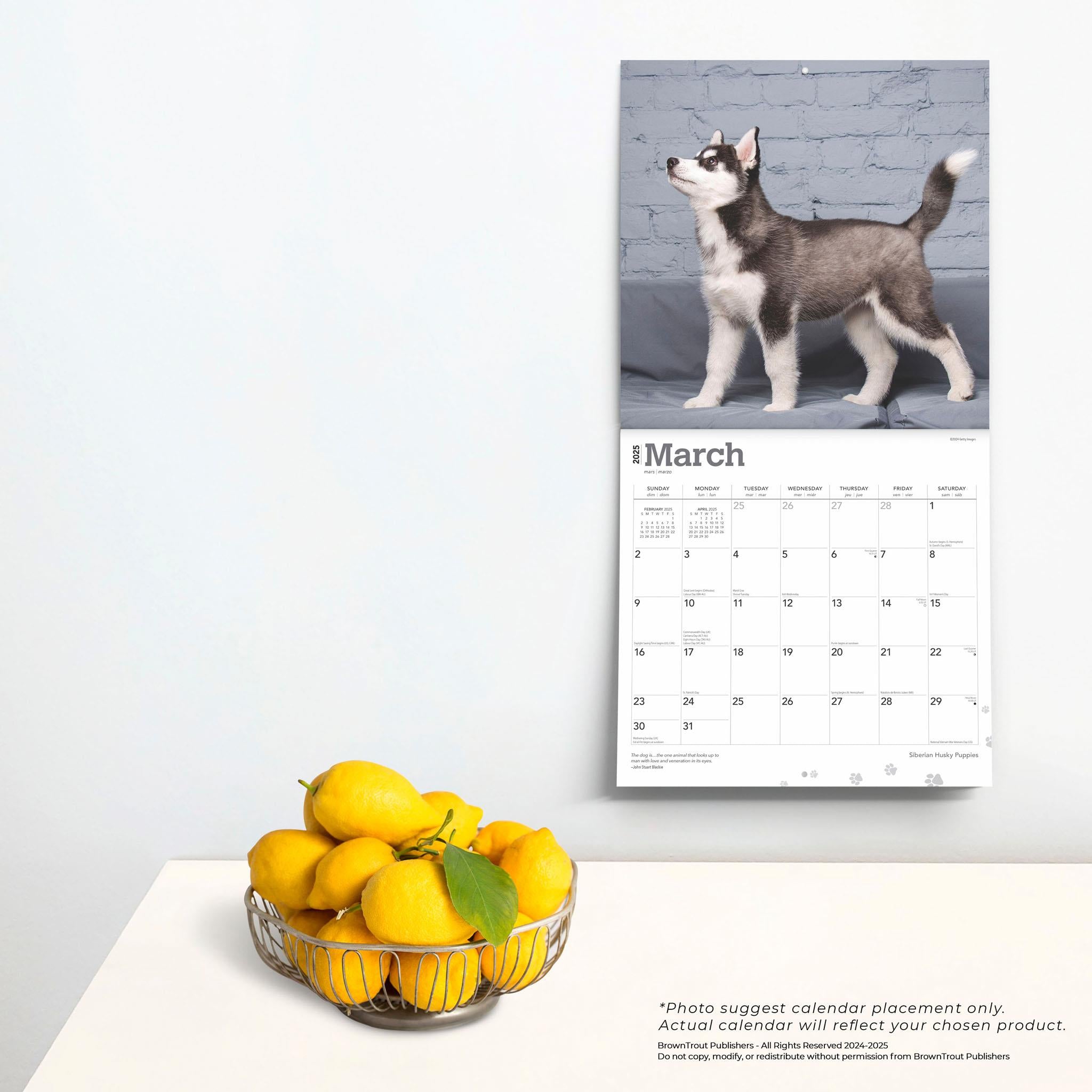 Siberian Husky Puppies Wall 2025 Calendar