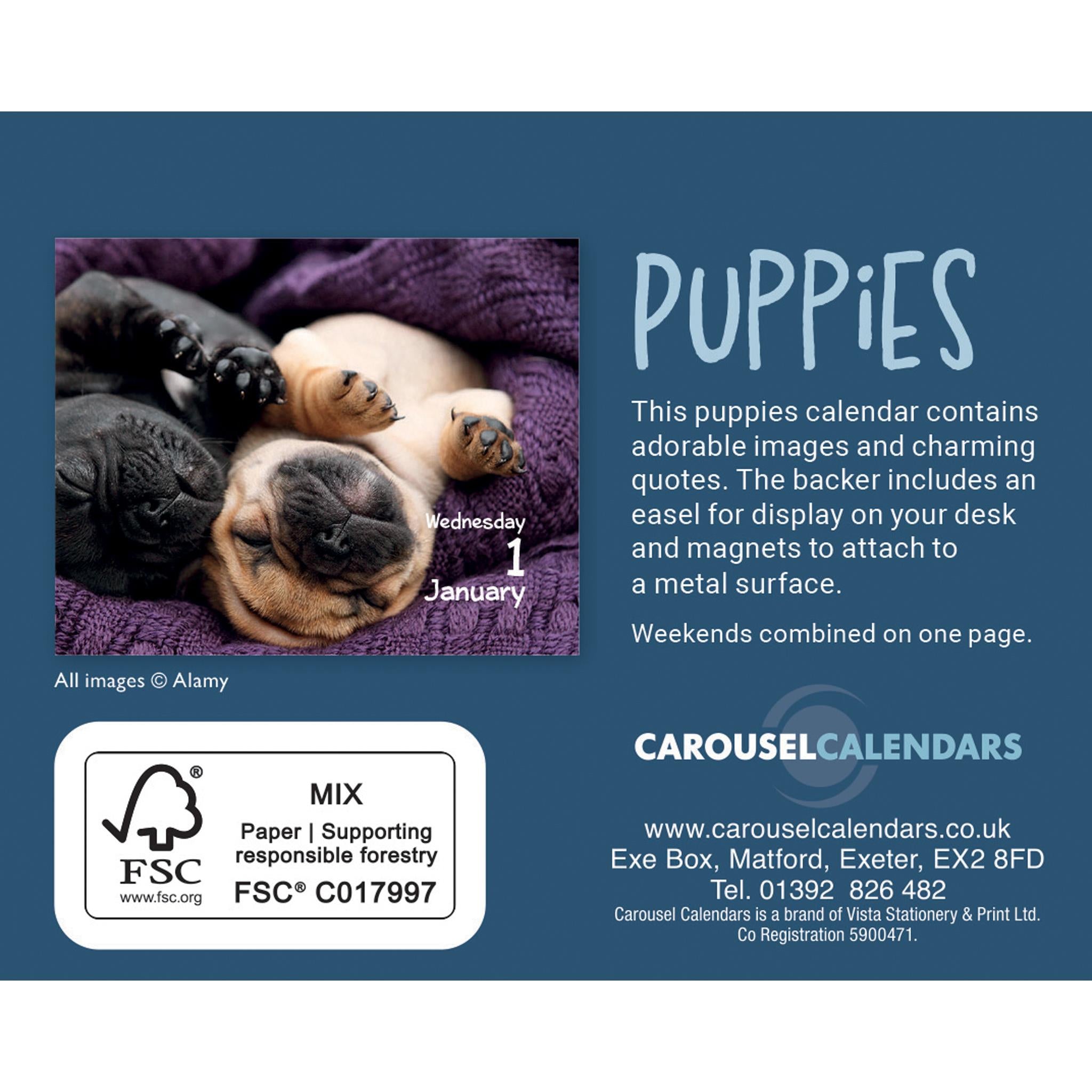 Puppies Small Box 2025 Calendar