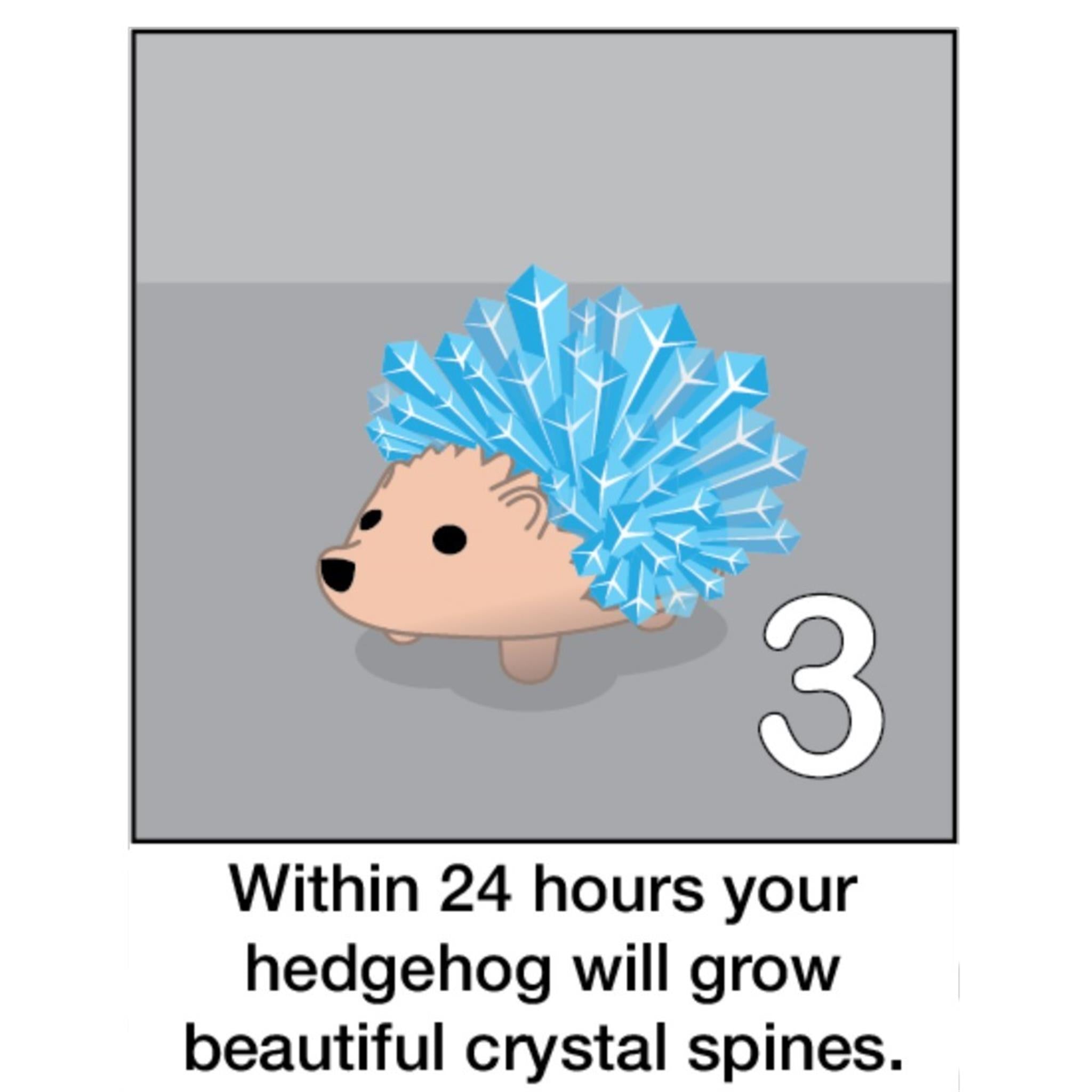 Crystal Hedgehog Kit