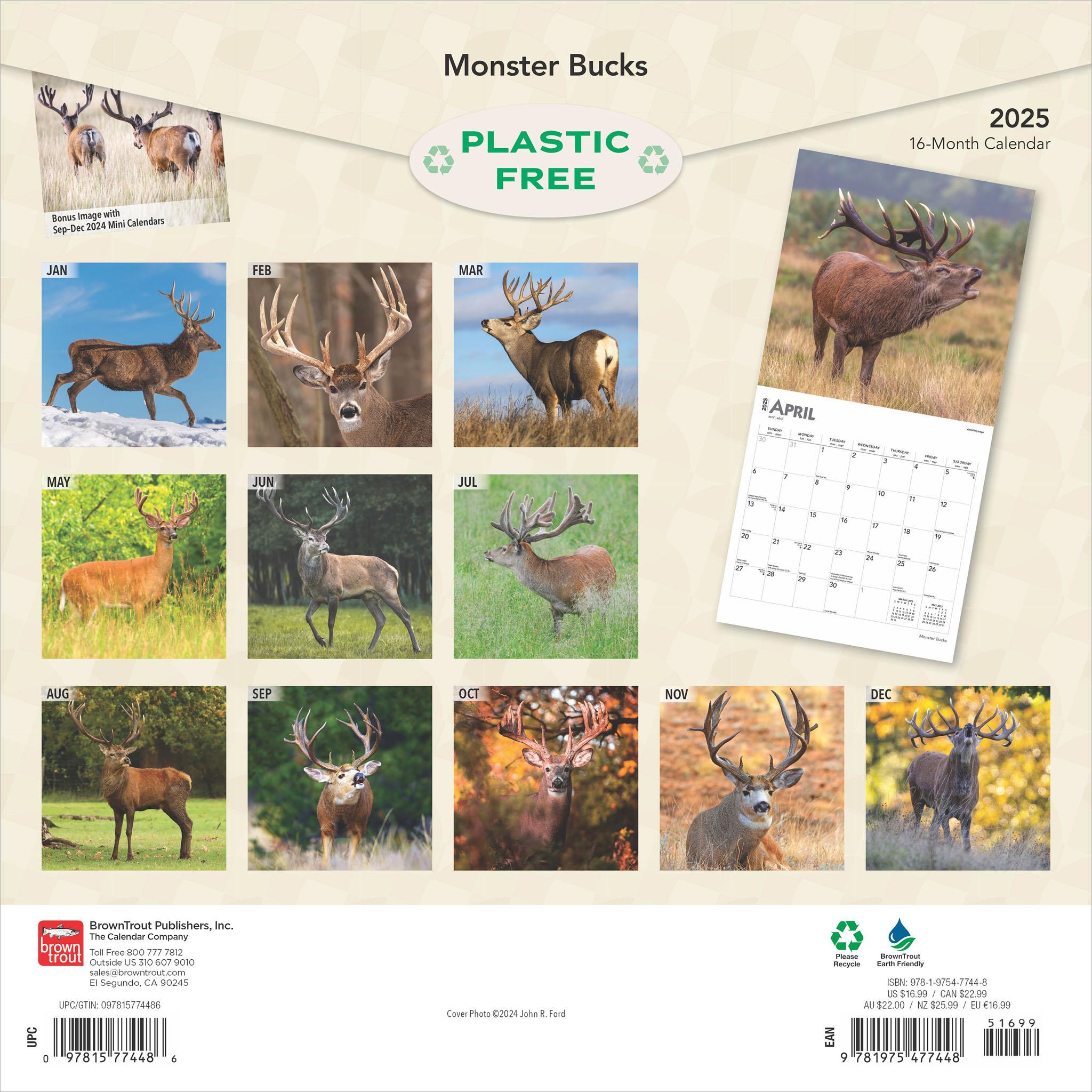 Monster Bucks Wall 2025 Calendar - Online Exclusive