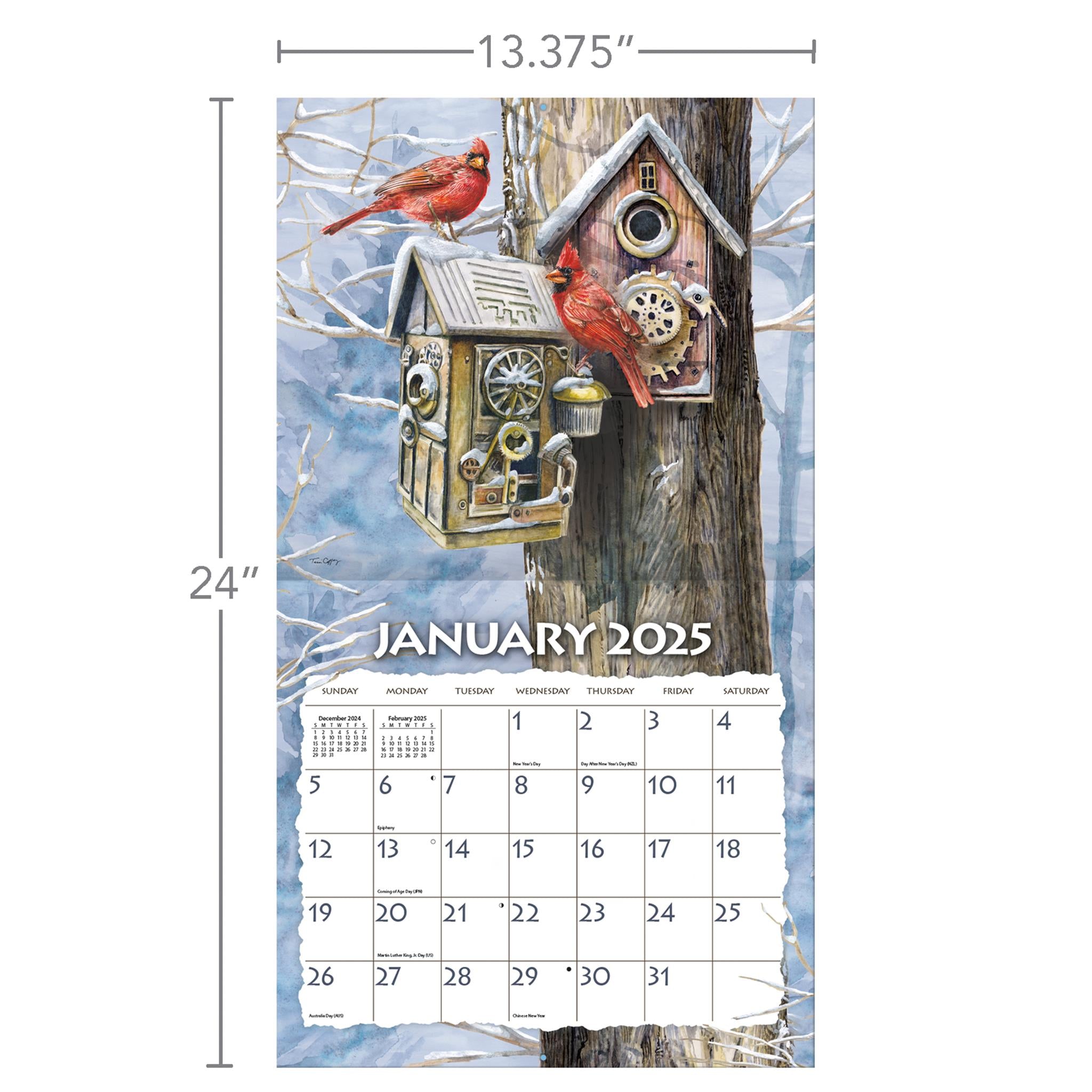 Birdhouses Wall 2025 Calendar - Online Exclusive