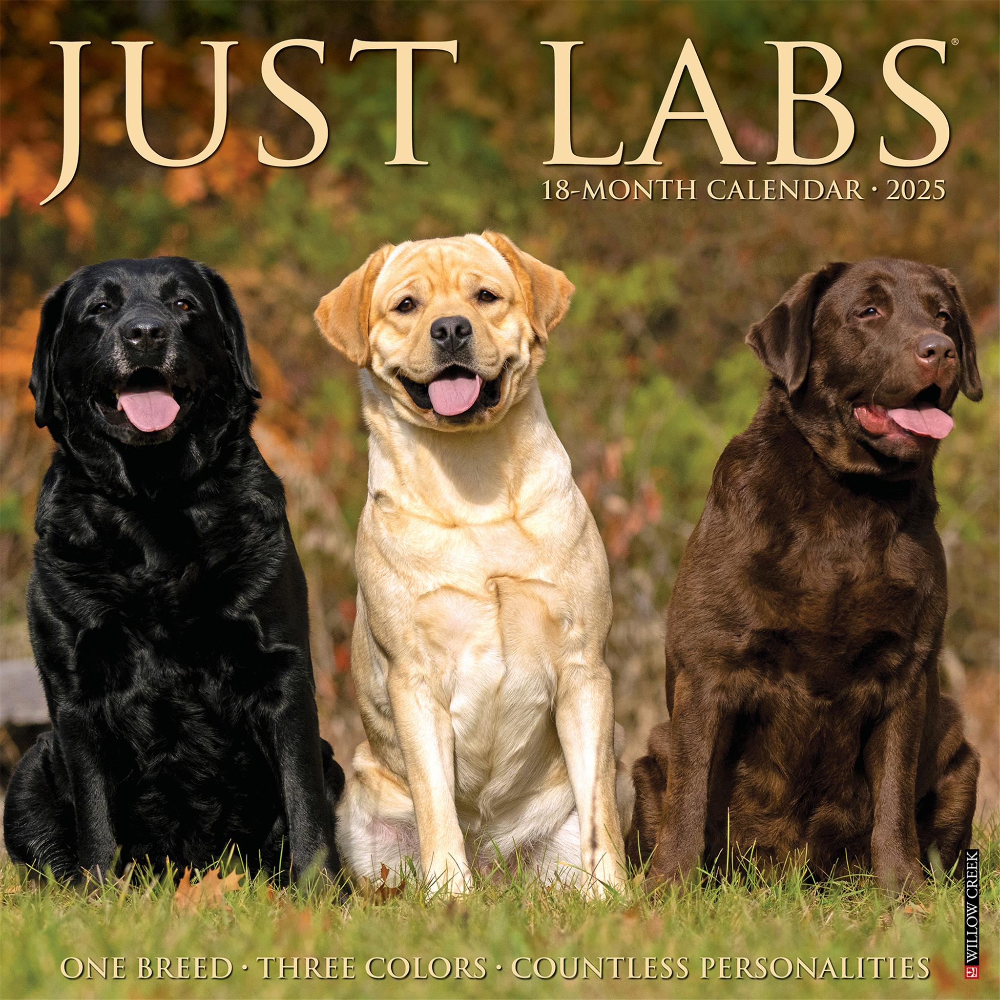 Just Labs Wall 2025 Calendar