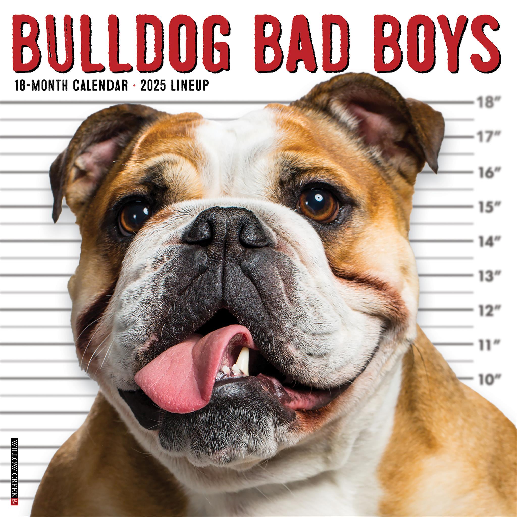 Bulldog Bad Boys Wall 2025 Calendar