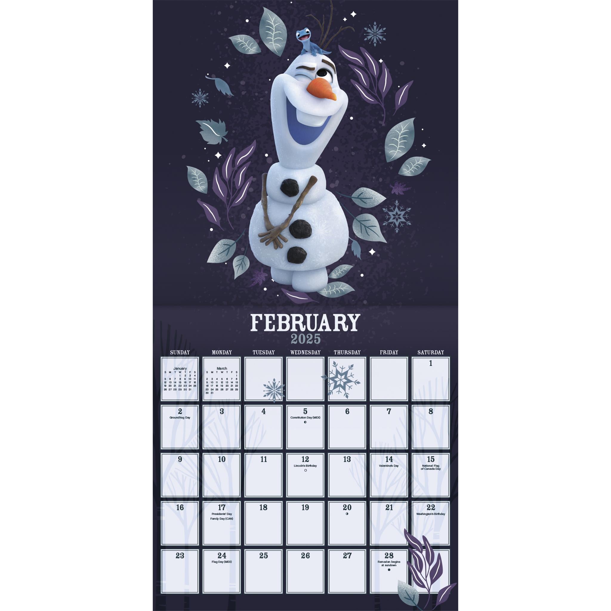 Frozen Wall 2025 Calendar