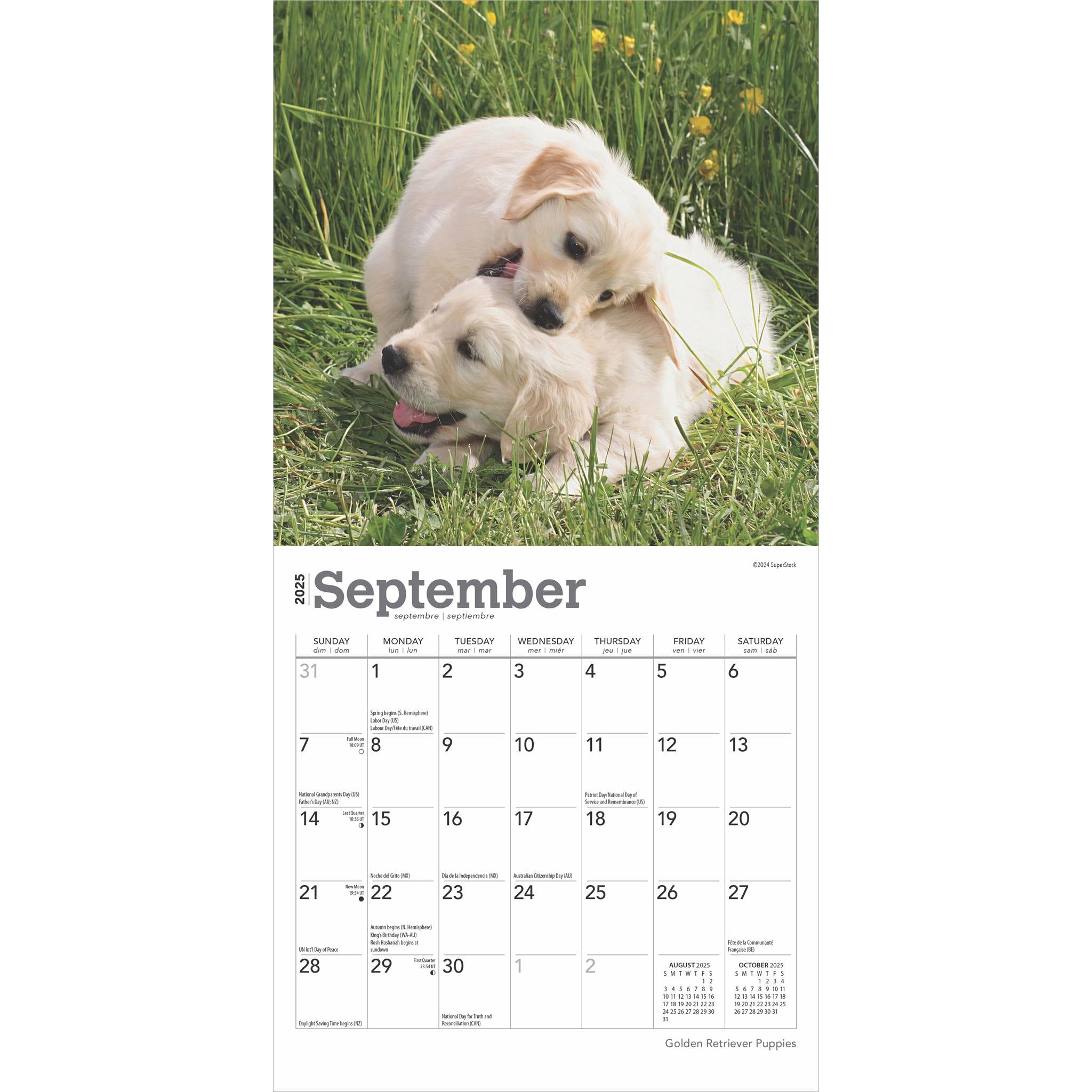 Golden Retriever Puppies Mini 2025 Calendar