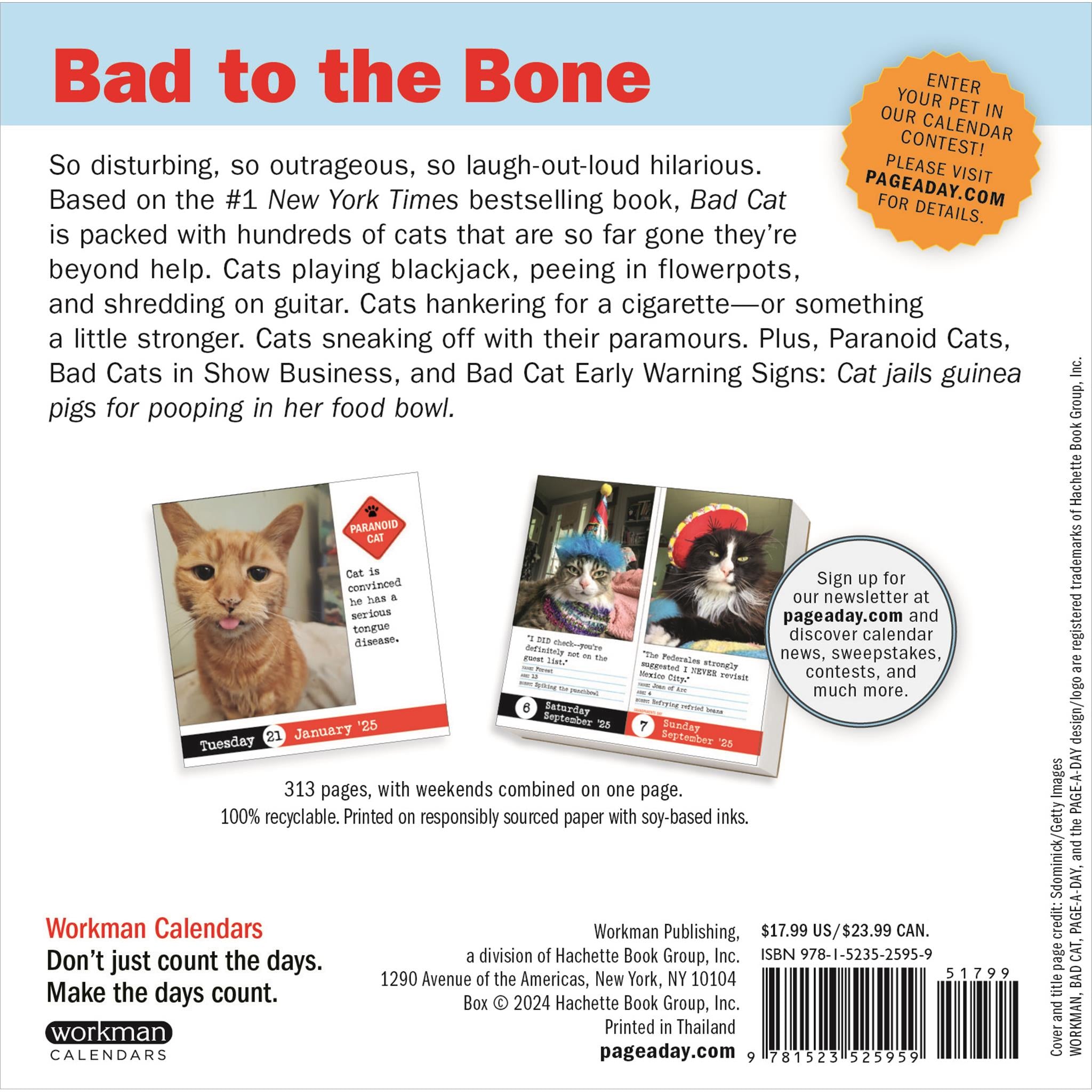 Bad Cat Box 2025 Calendar