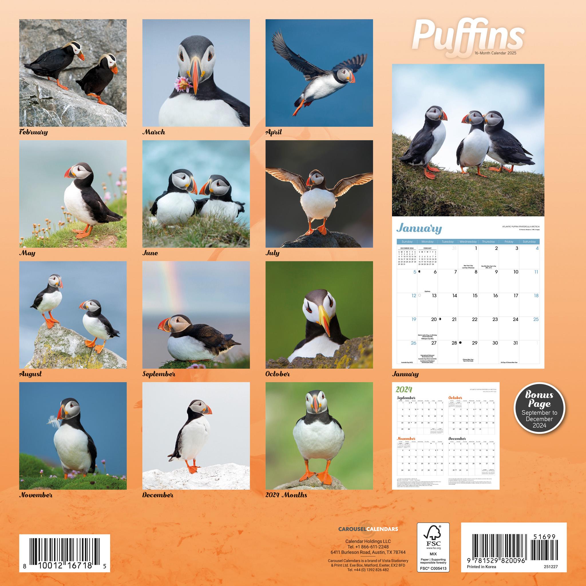 Puffins Wall 2025 Calendar