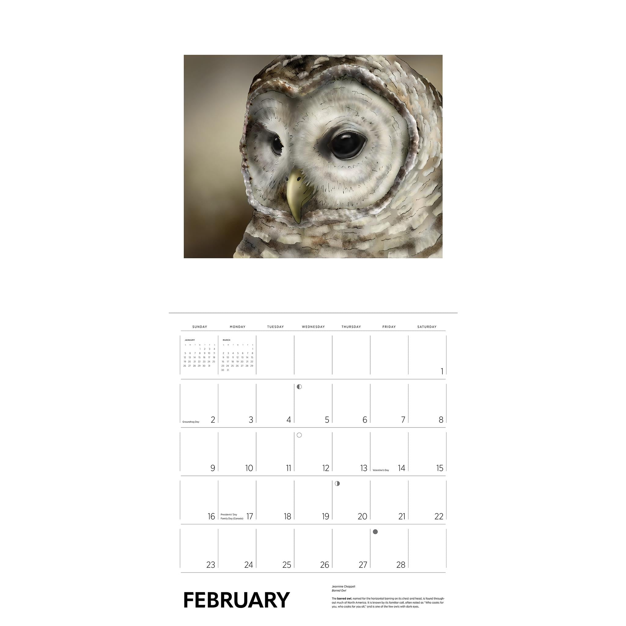 Owls Jeannine Chappell Wall 2025 Calendar