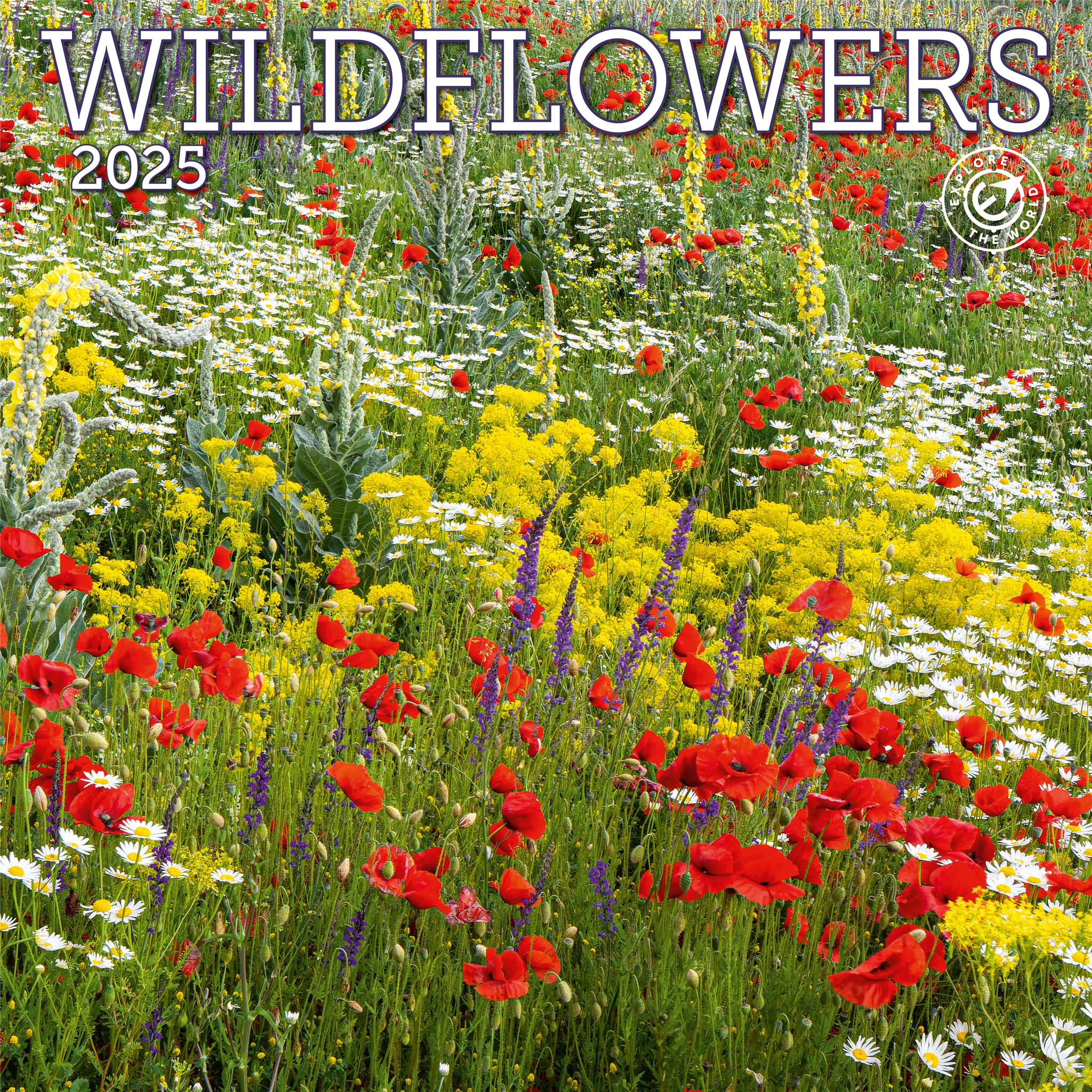 Wildflowers Wall 2025 Calendar