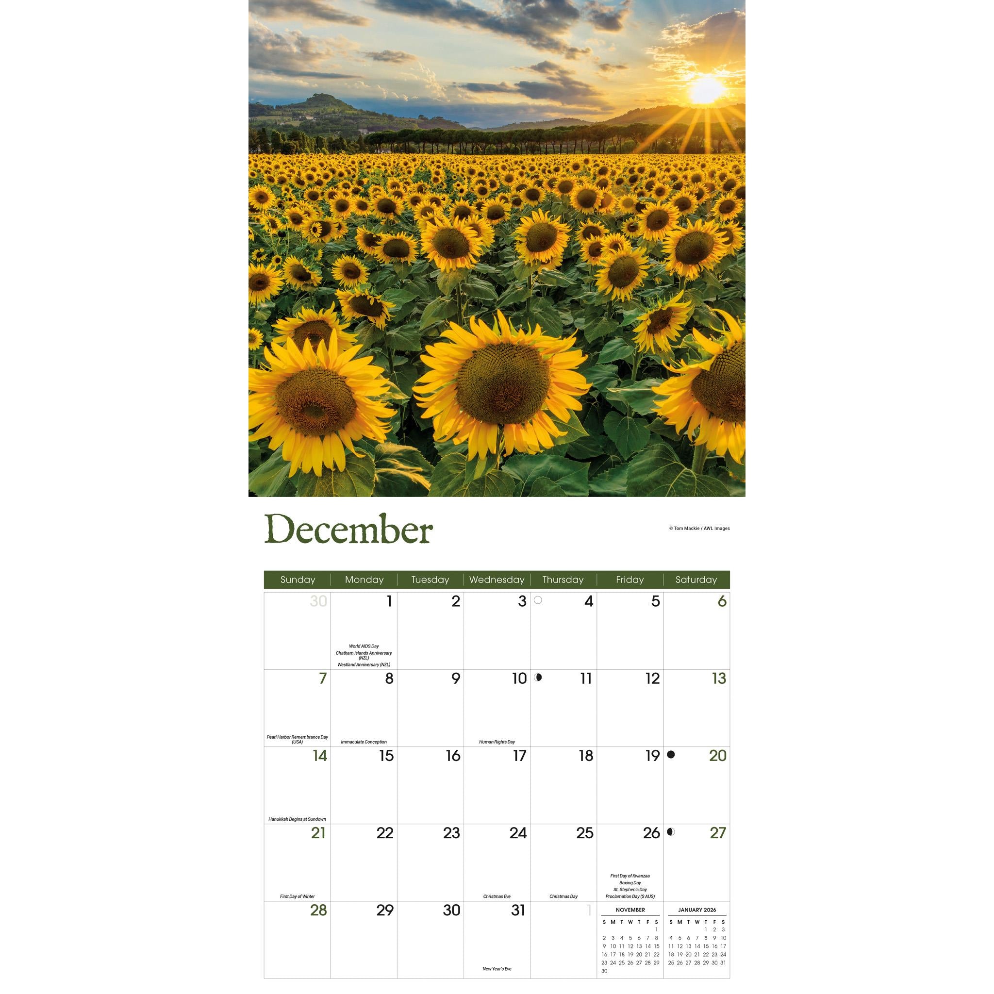 Sunflowers Wall 2025 Calendar