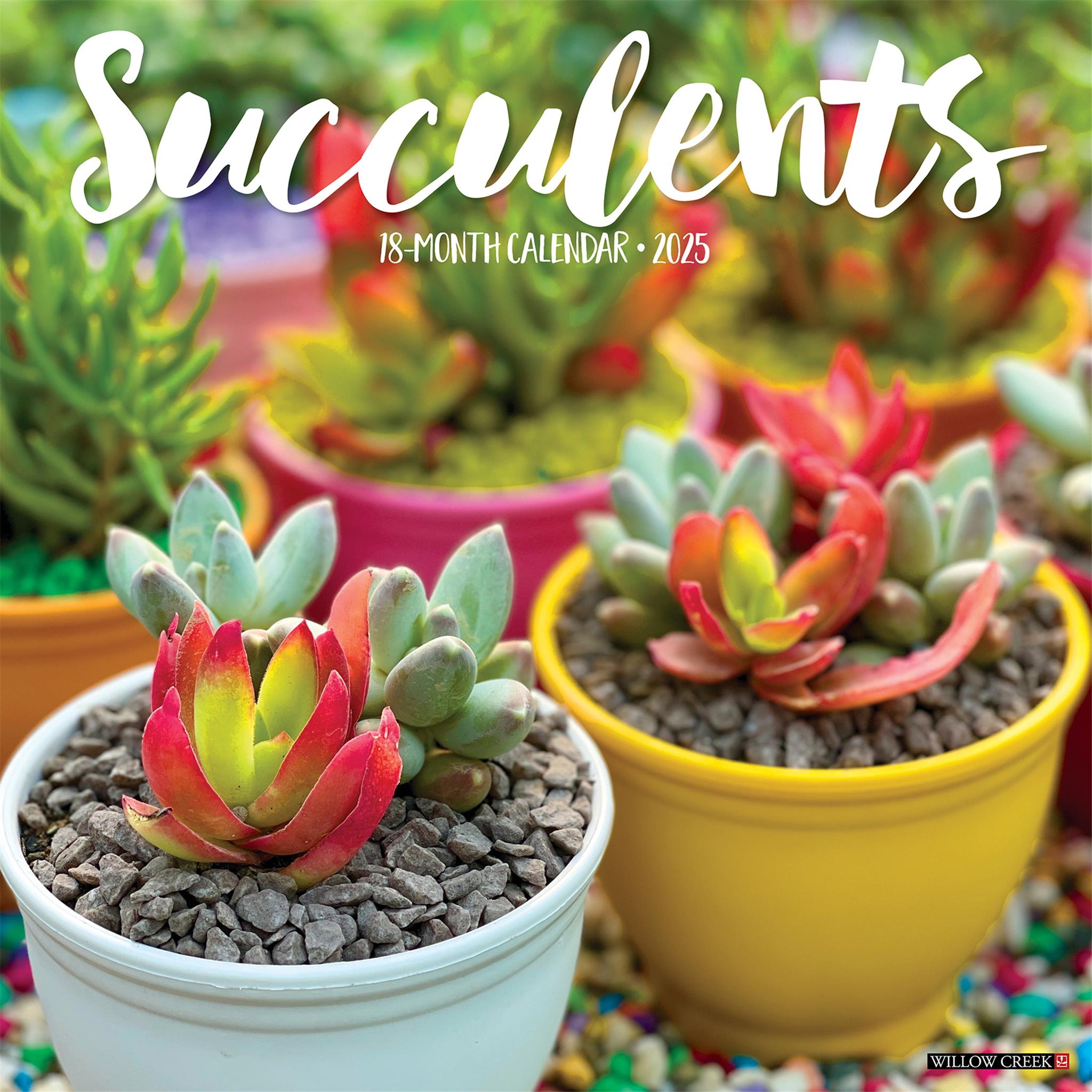 Succulents Wall 2025 Calendar - Online Exclusive