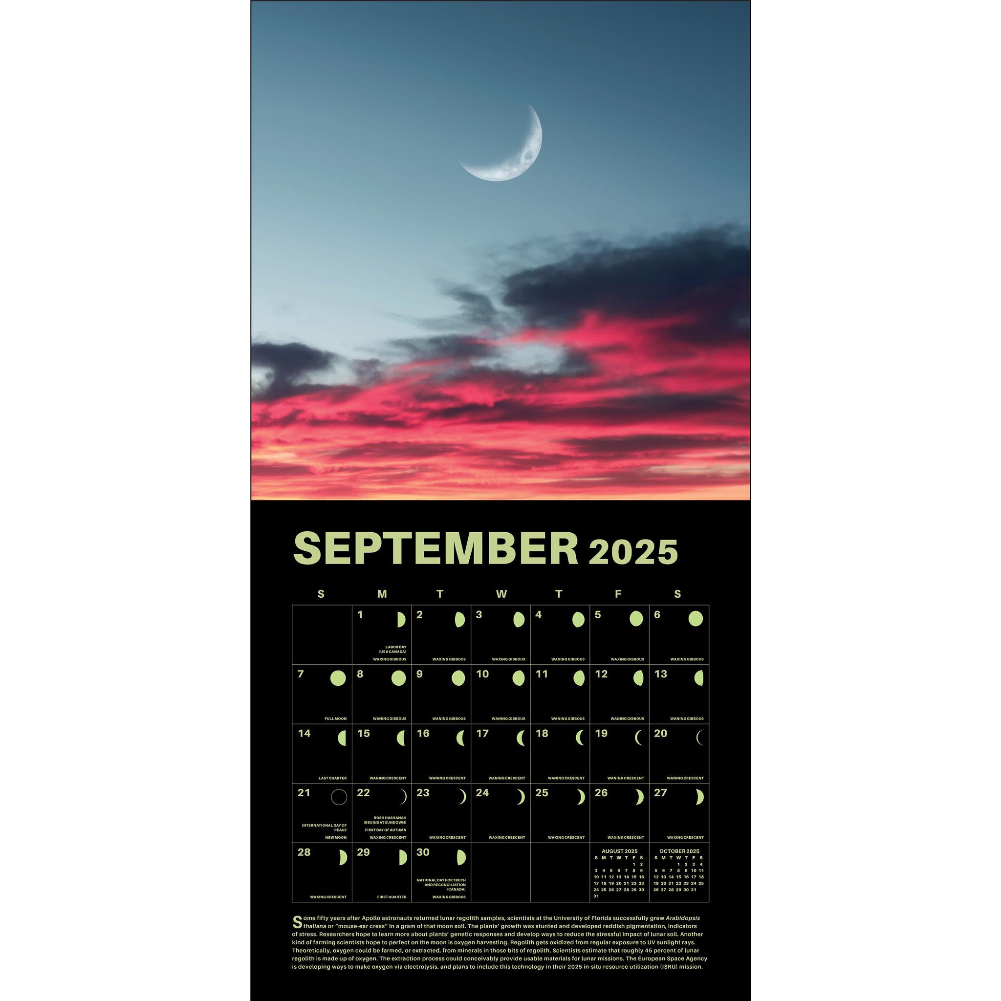 Lunar Wall 2025 Calendar