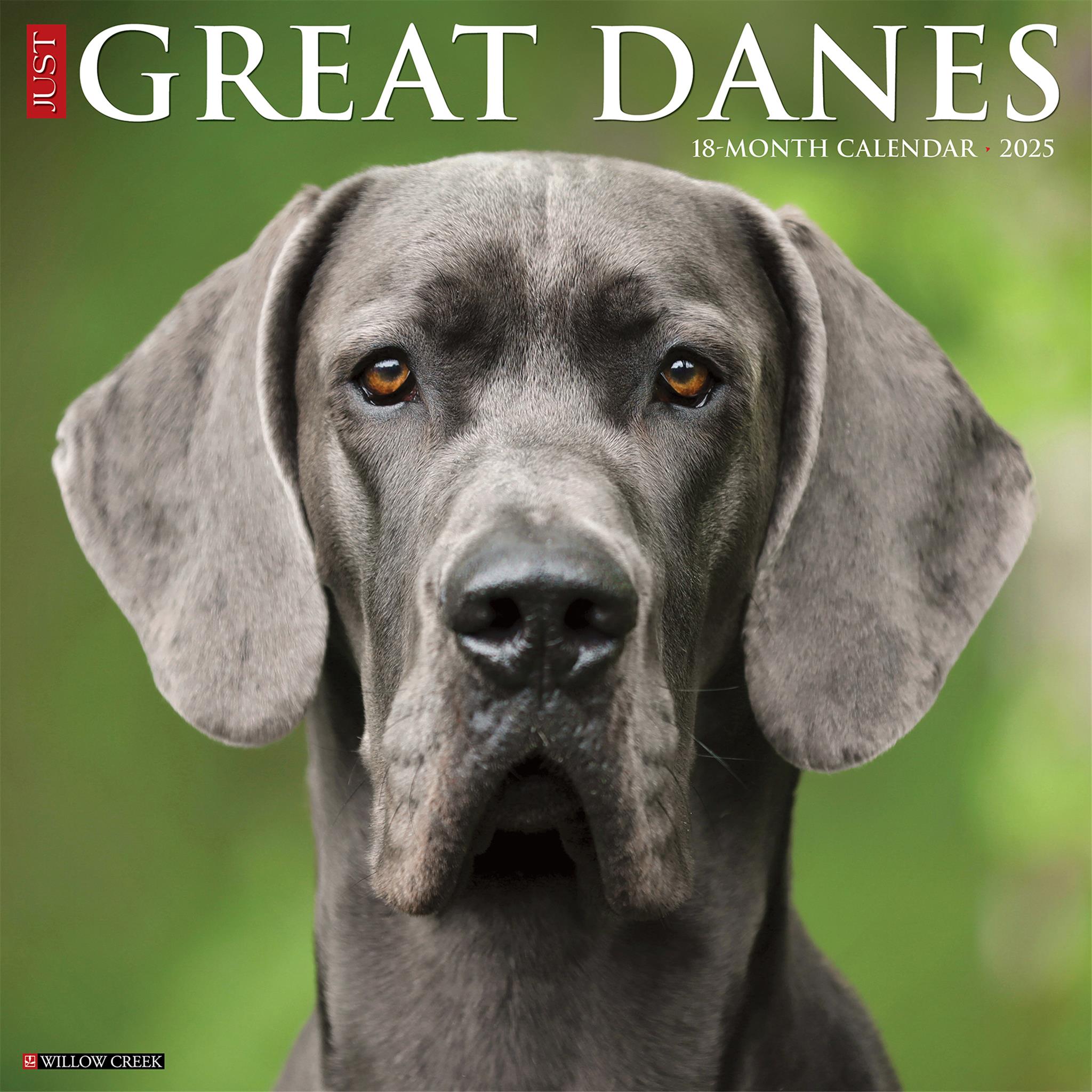 Just Great Danes Wall 2025 Calendar