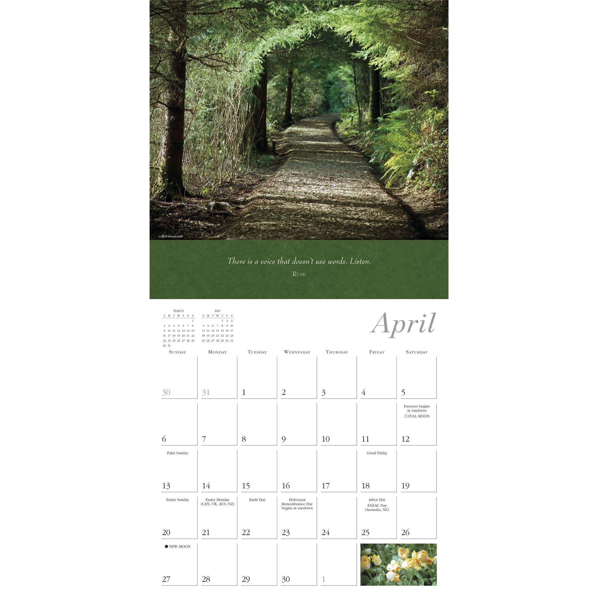 Simplicity Wall 2025 Calendar