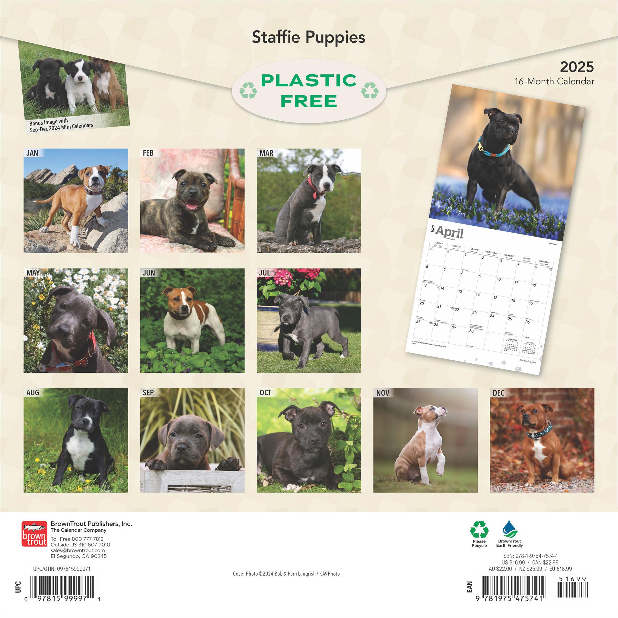 Staffordshire Bull Terrier Puppies Wall 2025 Calendar