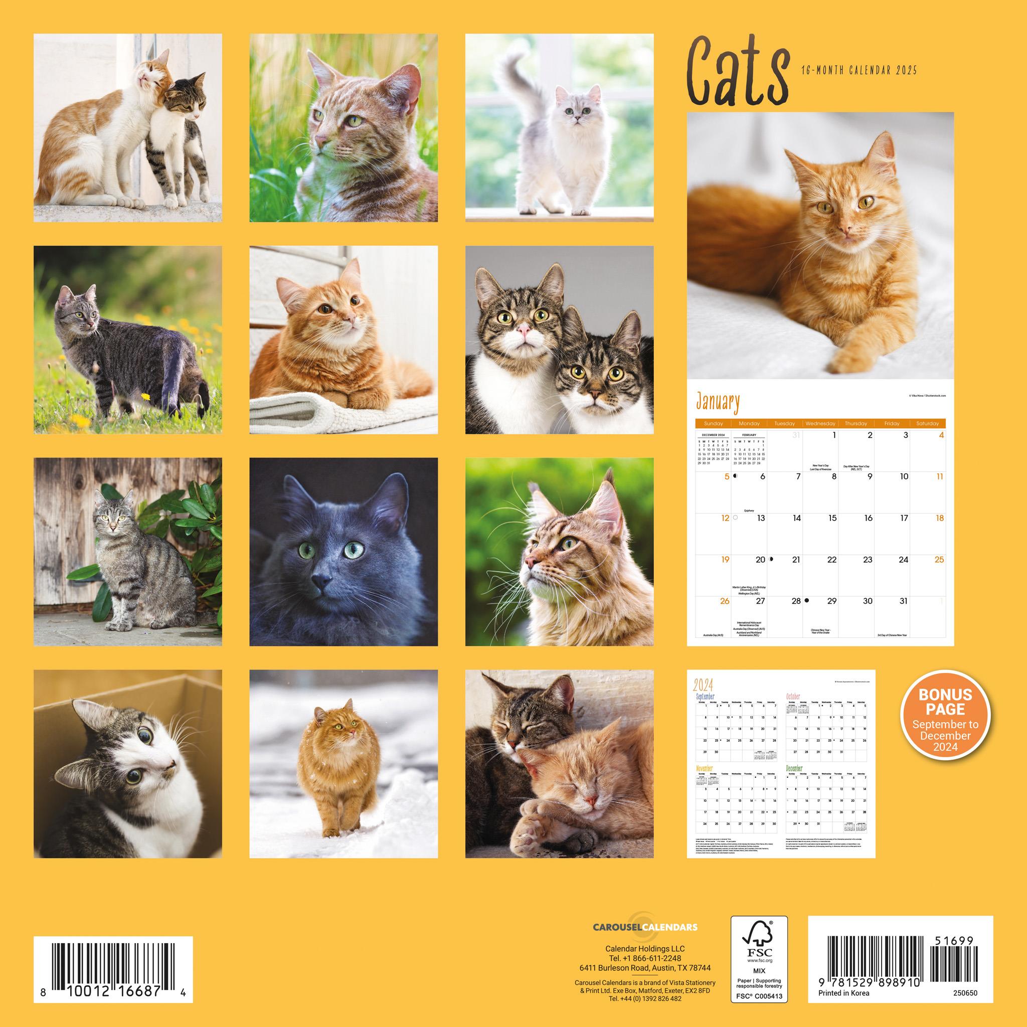 Cats Wall 2025 Calendar