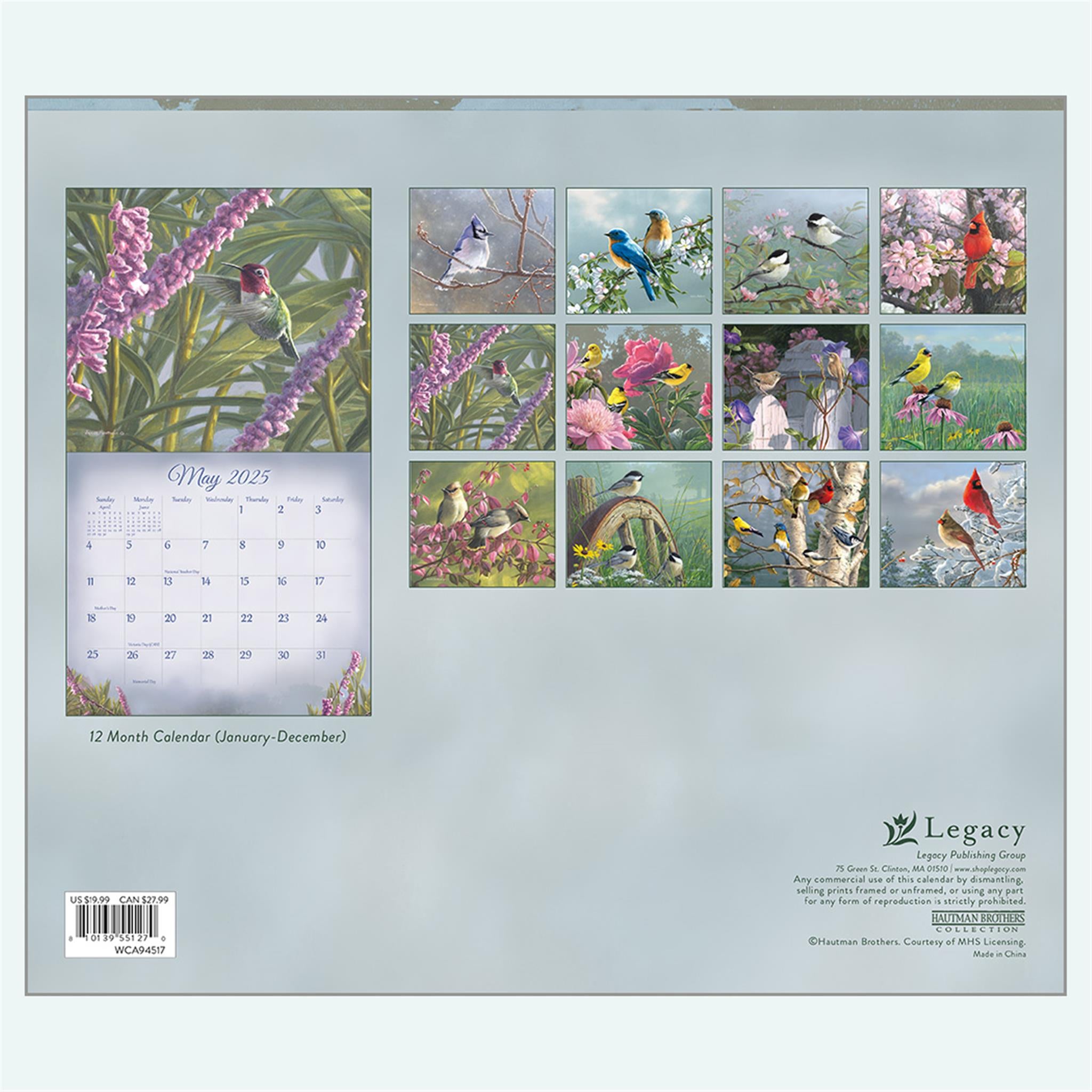 Songbirds Wall 2025 Calendar - Online Exclusive