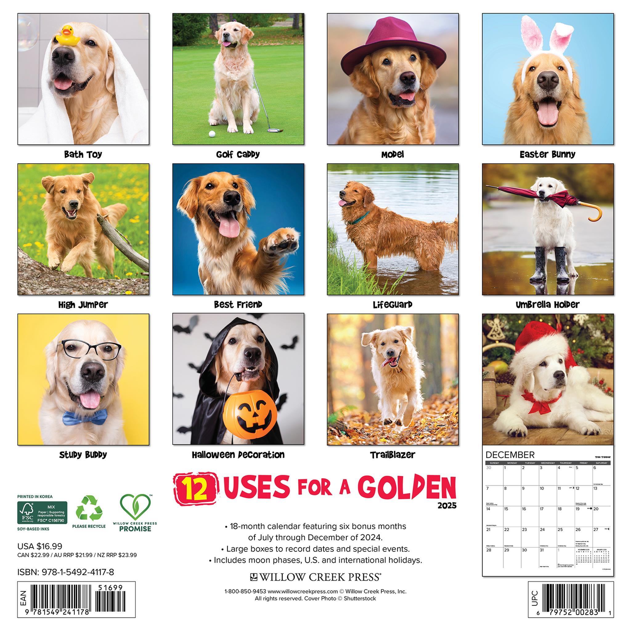 12 Uses for a Golden Wall 2025 Calendar - Online Exclusive