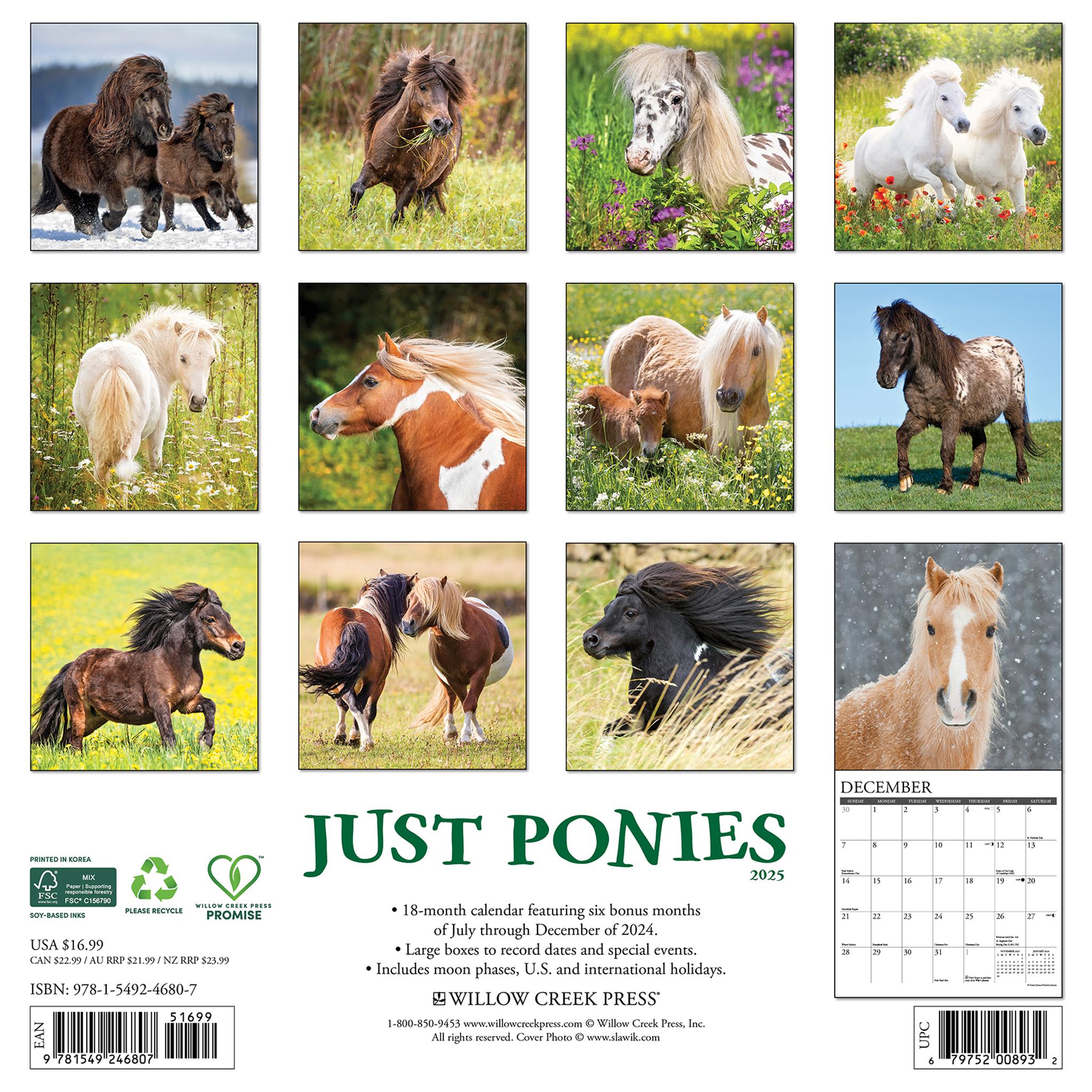 Ponies Wall 2025 Calendar - Online Exclusive