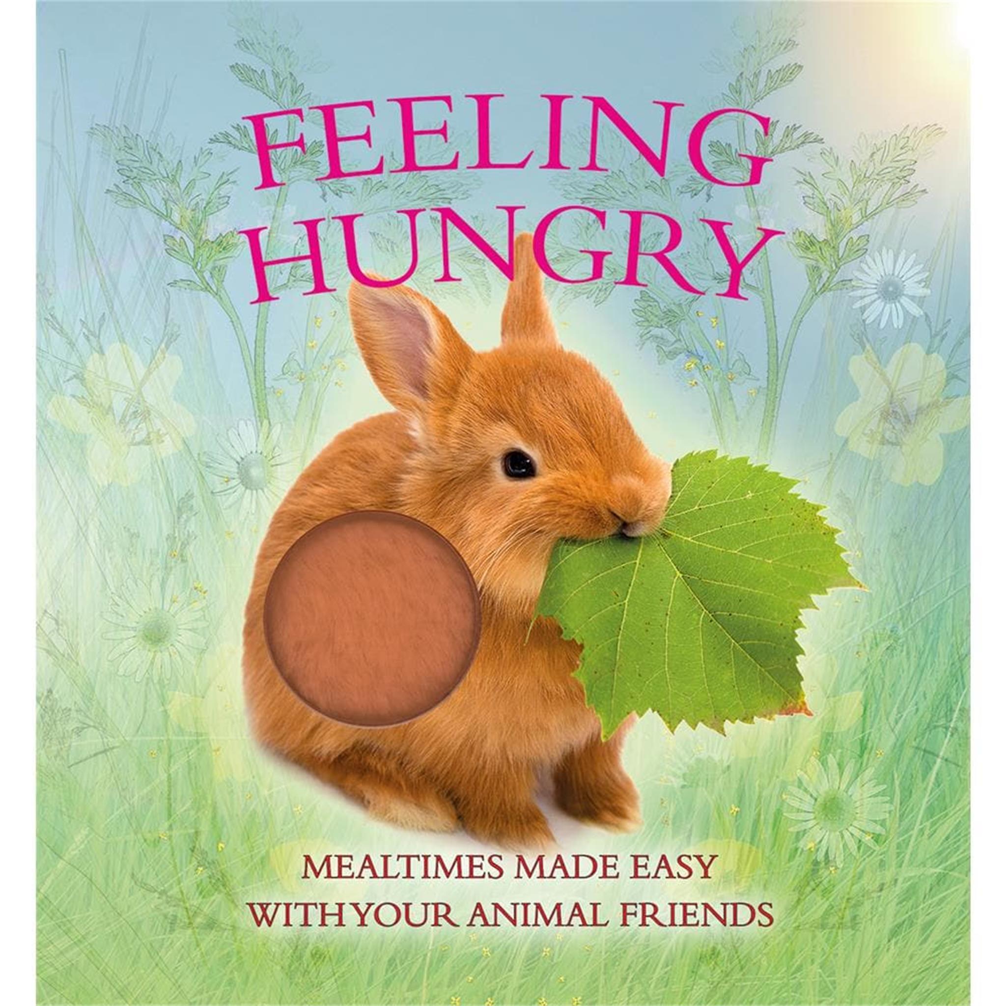 Feeling Hungry Childrens Book