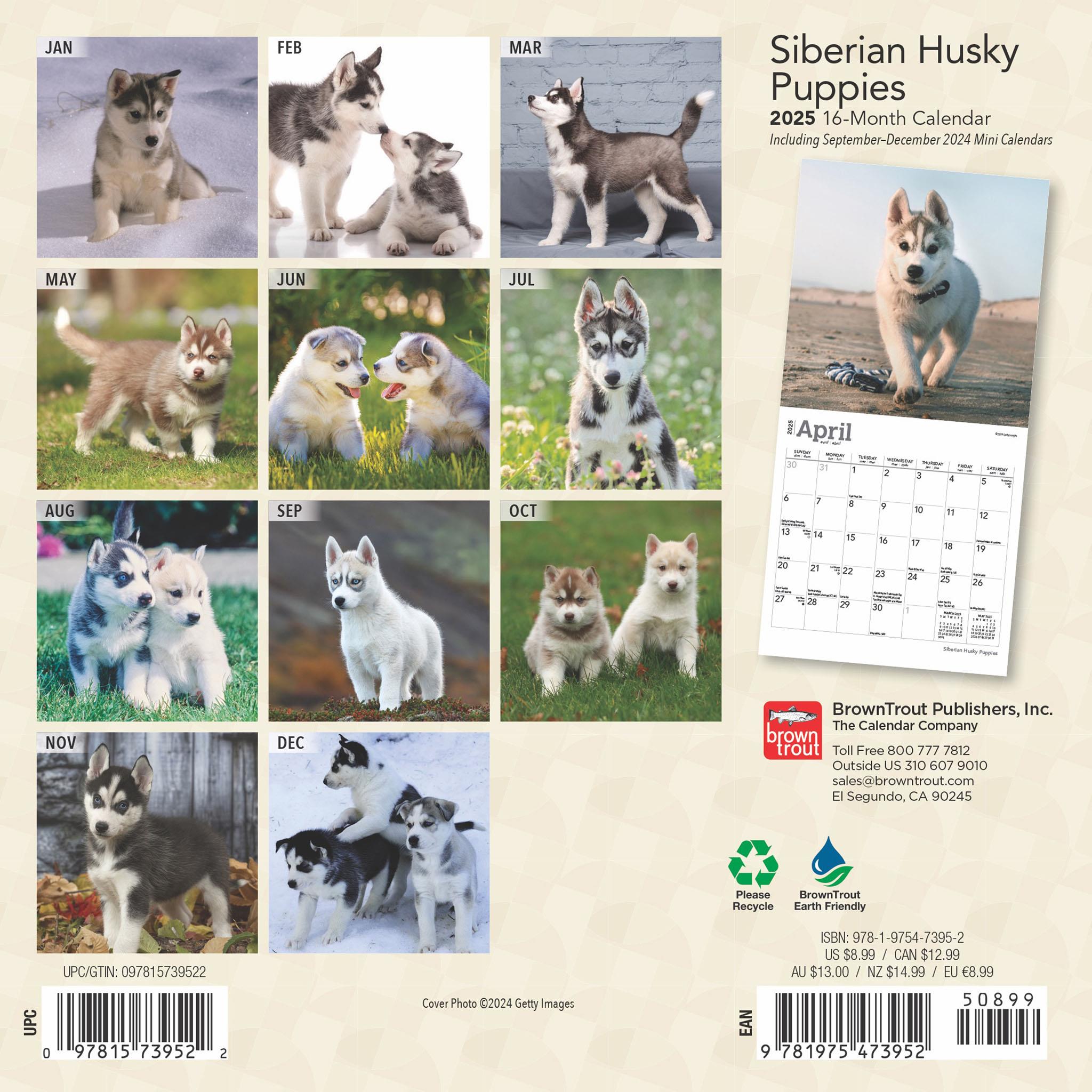 Siberian Husky Puppies Mini 2025 Calendar