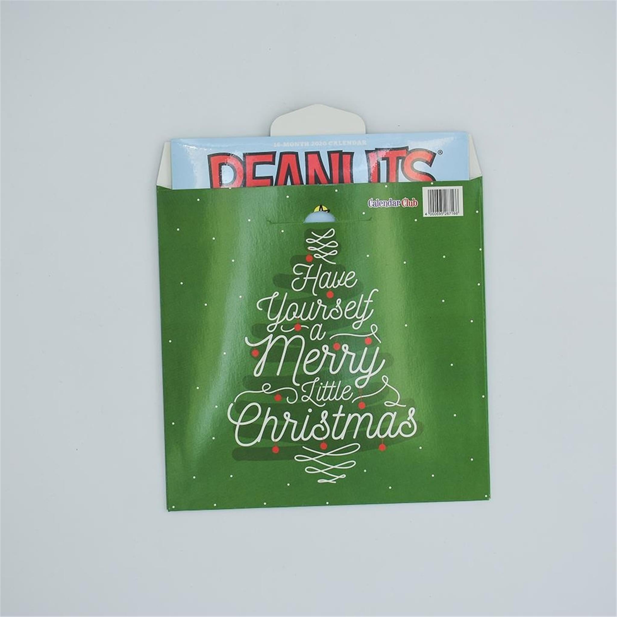 Merry Little Christmas Mini Gift Wrap