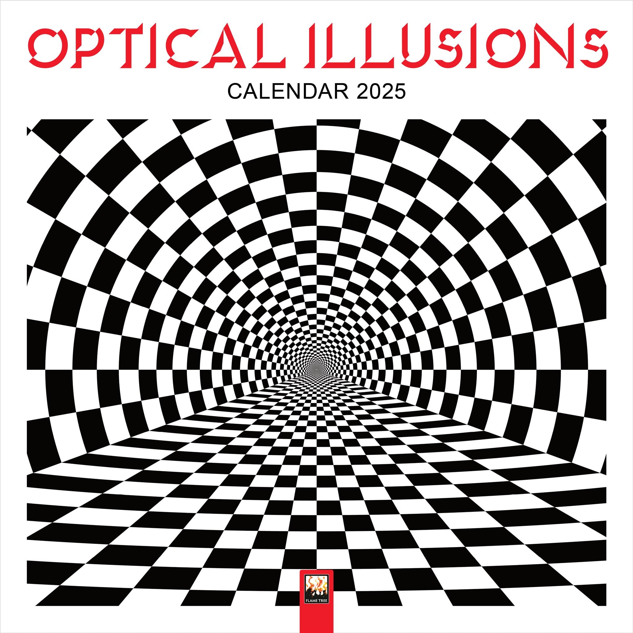 Optical Illusions Wall 2025 Calendar