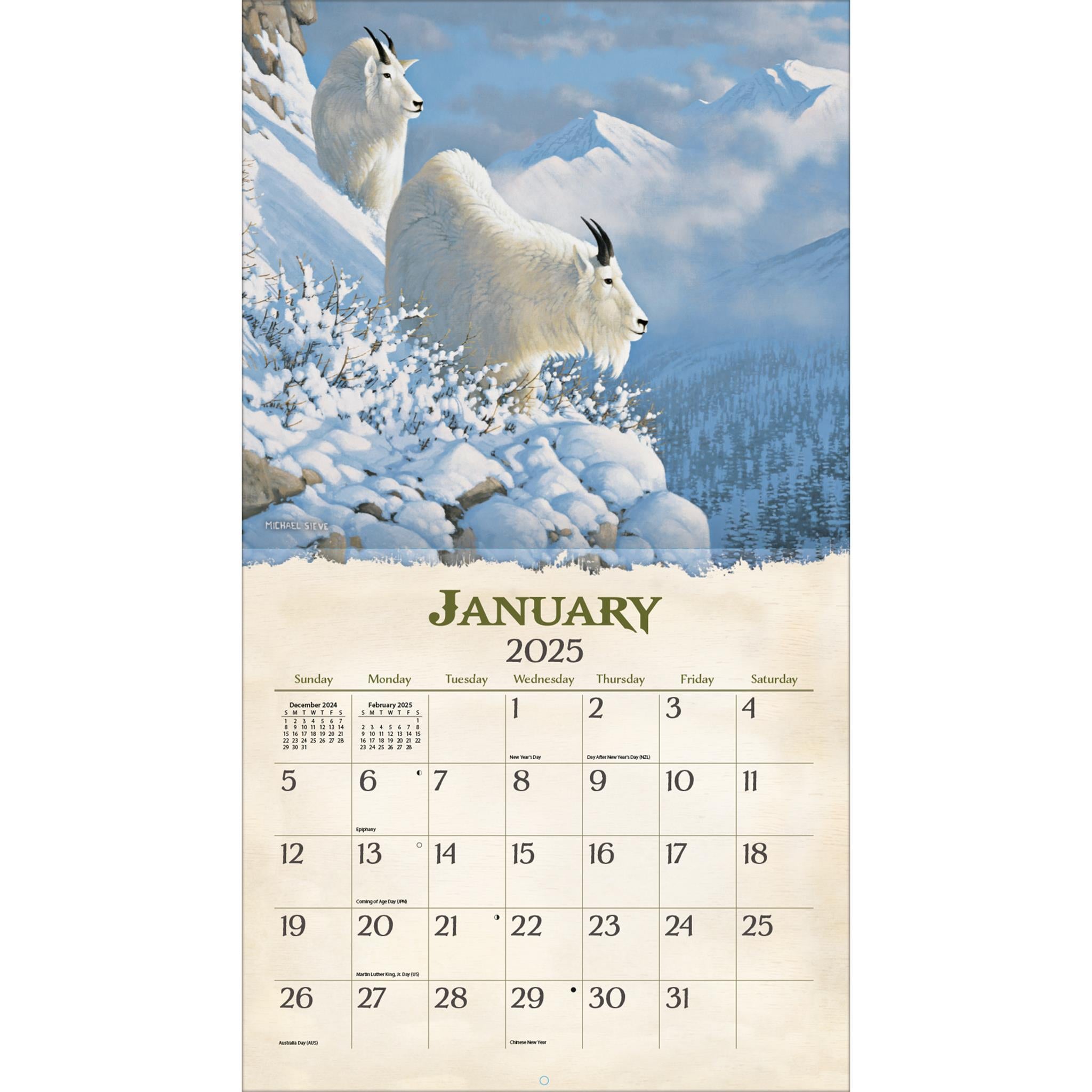 Beyond The Woods Wall 2025 Calendar - Online Exclusive