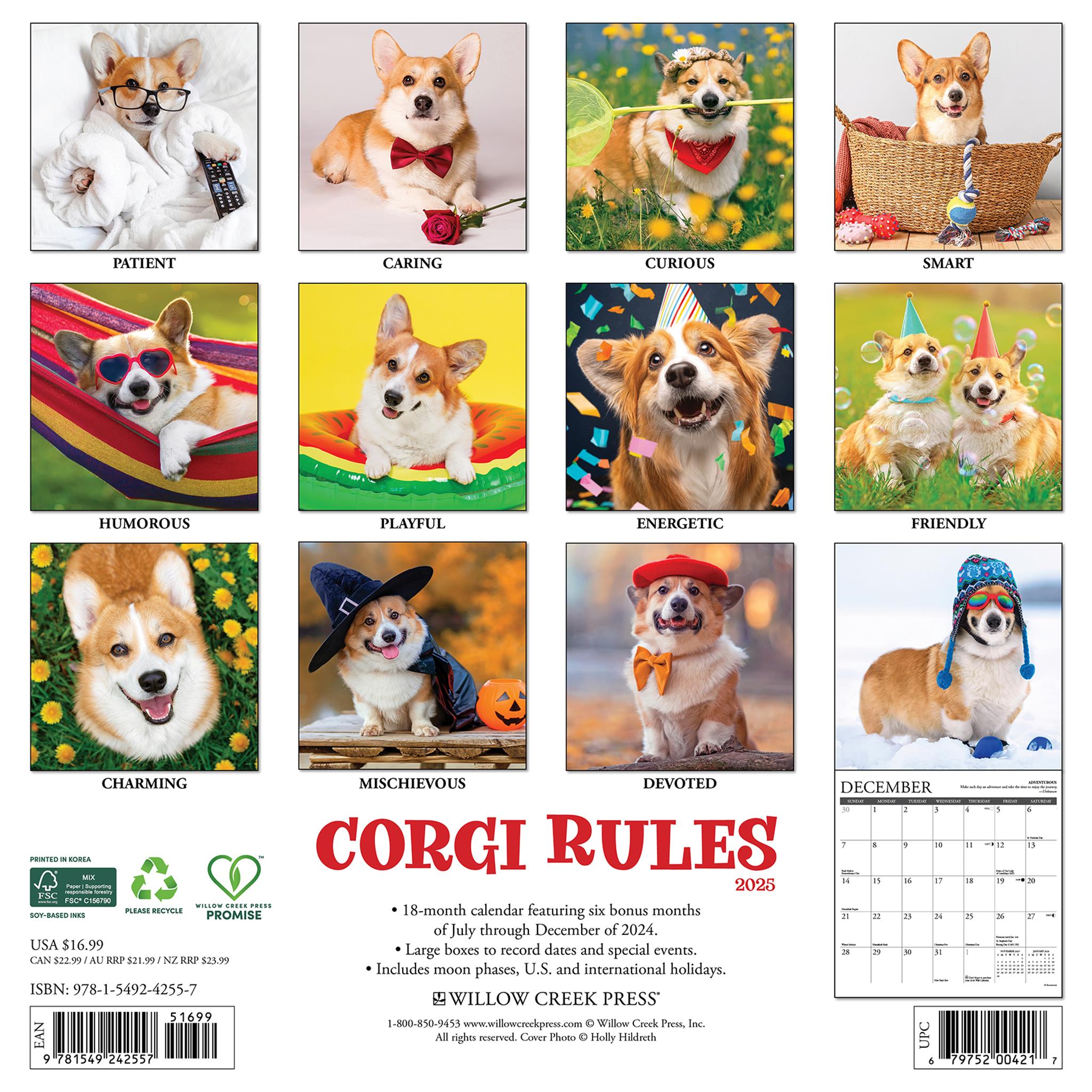 Corgi Rules Wall 2025 Calendar - Online Exclusive