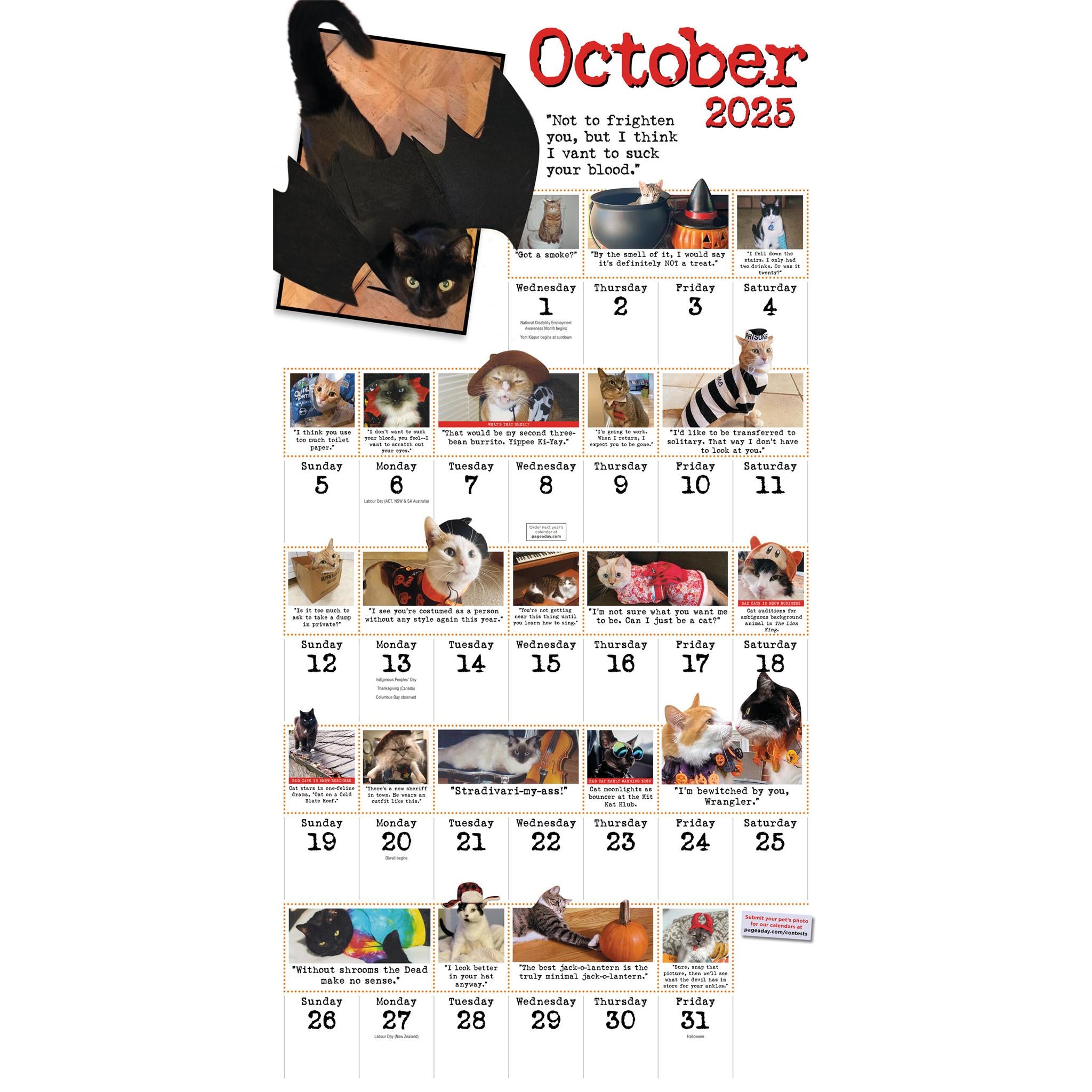 Bad Cat Wall 2025 Calendar - Online Exclusive