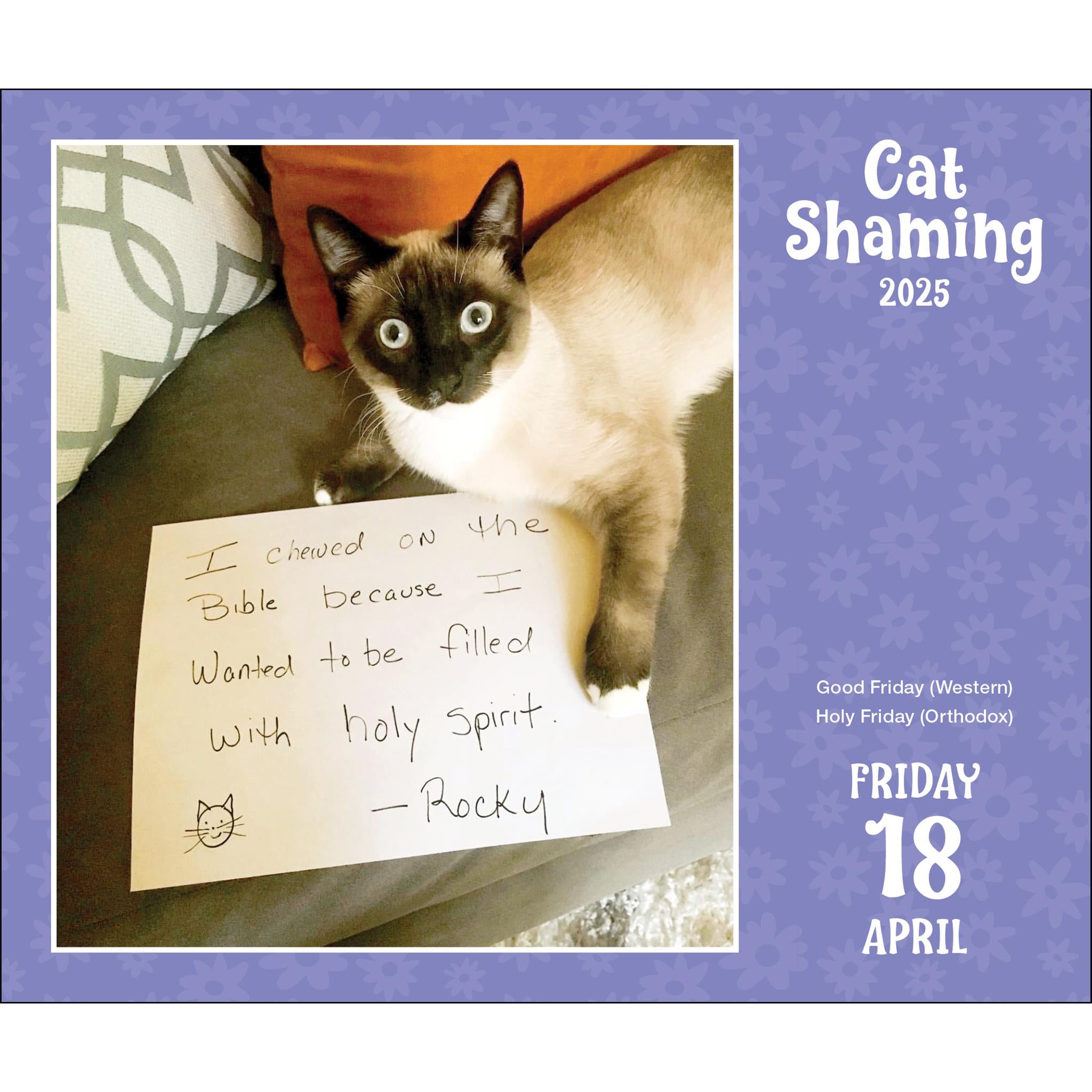 Cat Shaming Box 2025 Calendar