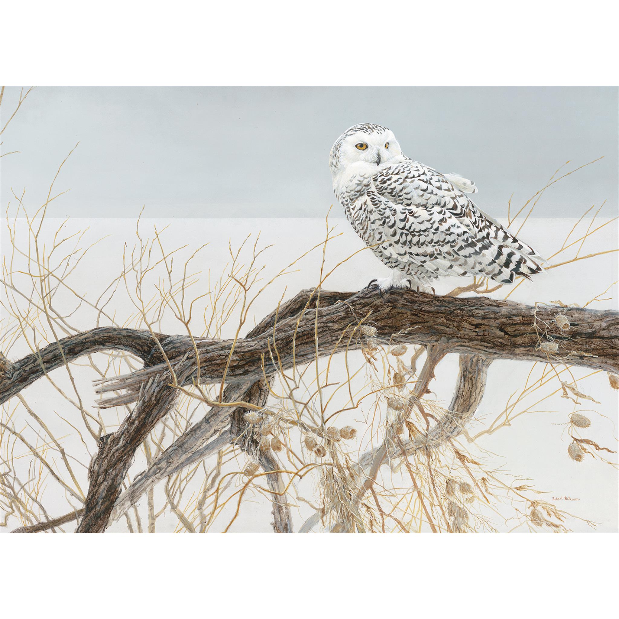 Fallen Willow Snowy Owl 500 Piece Puzzle Cobble Hill