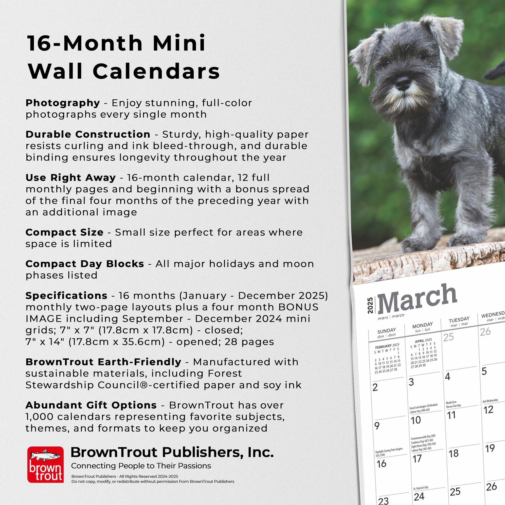 Schnauzer Puppies Mini 2025 Calendar