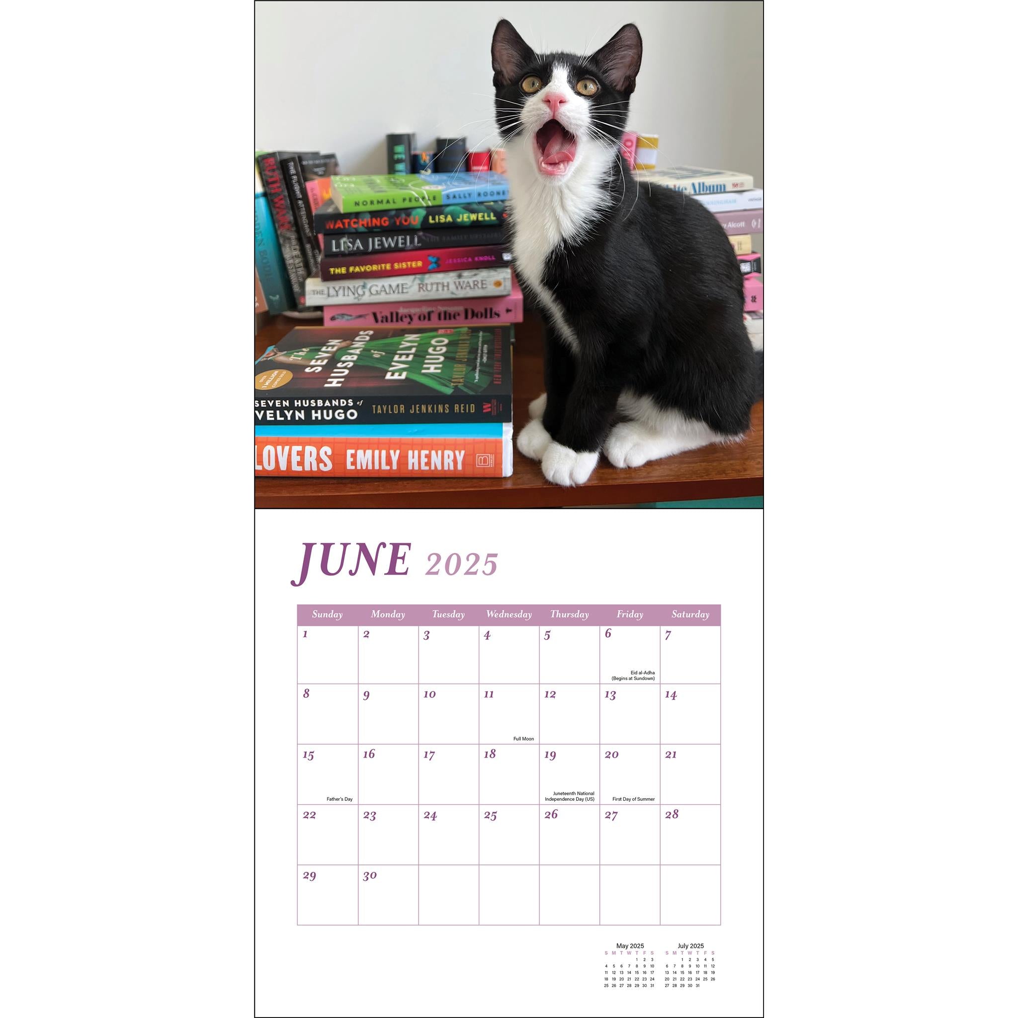 Cats And Books Wall 2025 Calendar