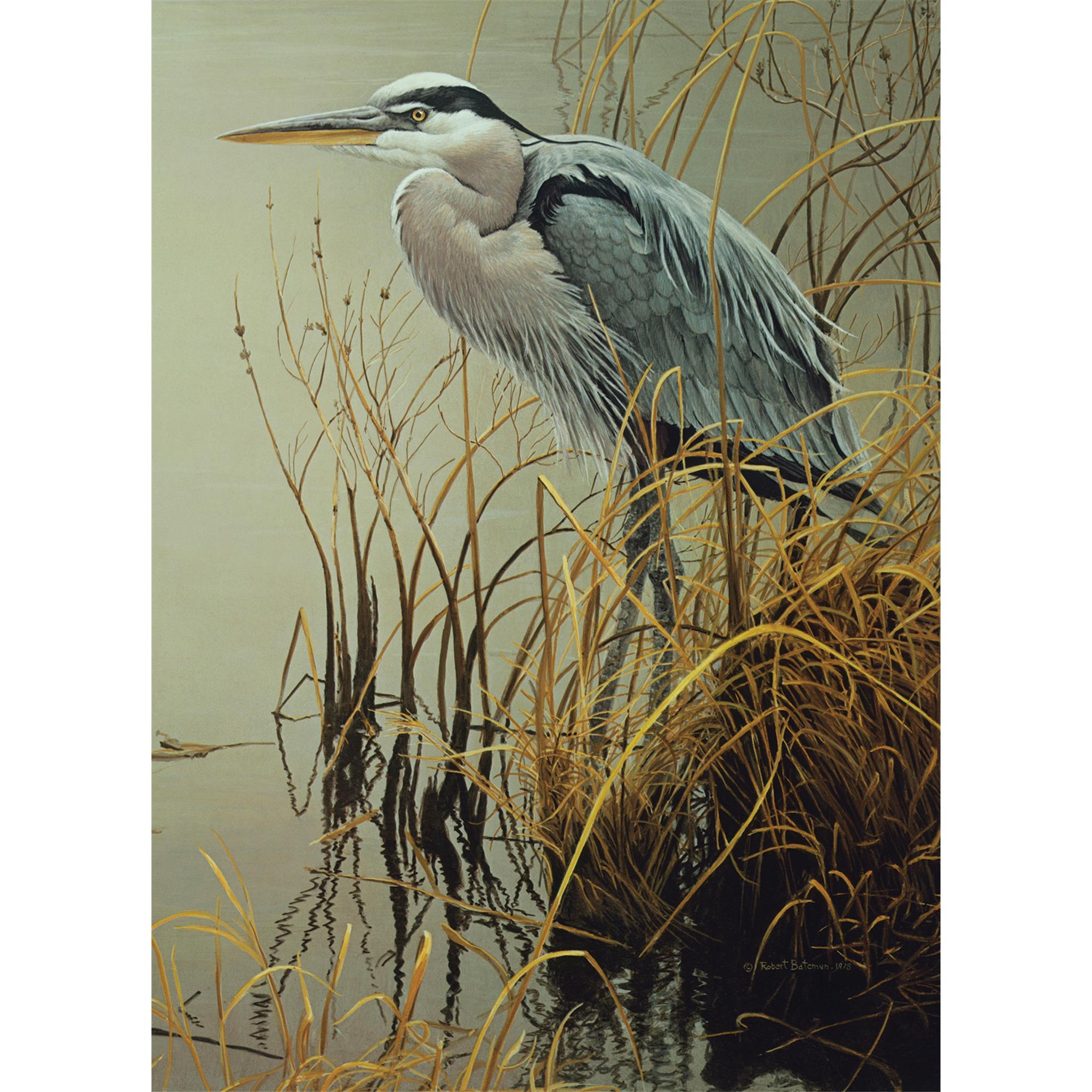 Great Blue Heron 500 Piece Puzzle Cobble Hill