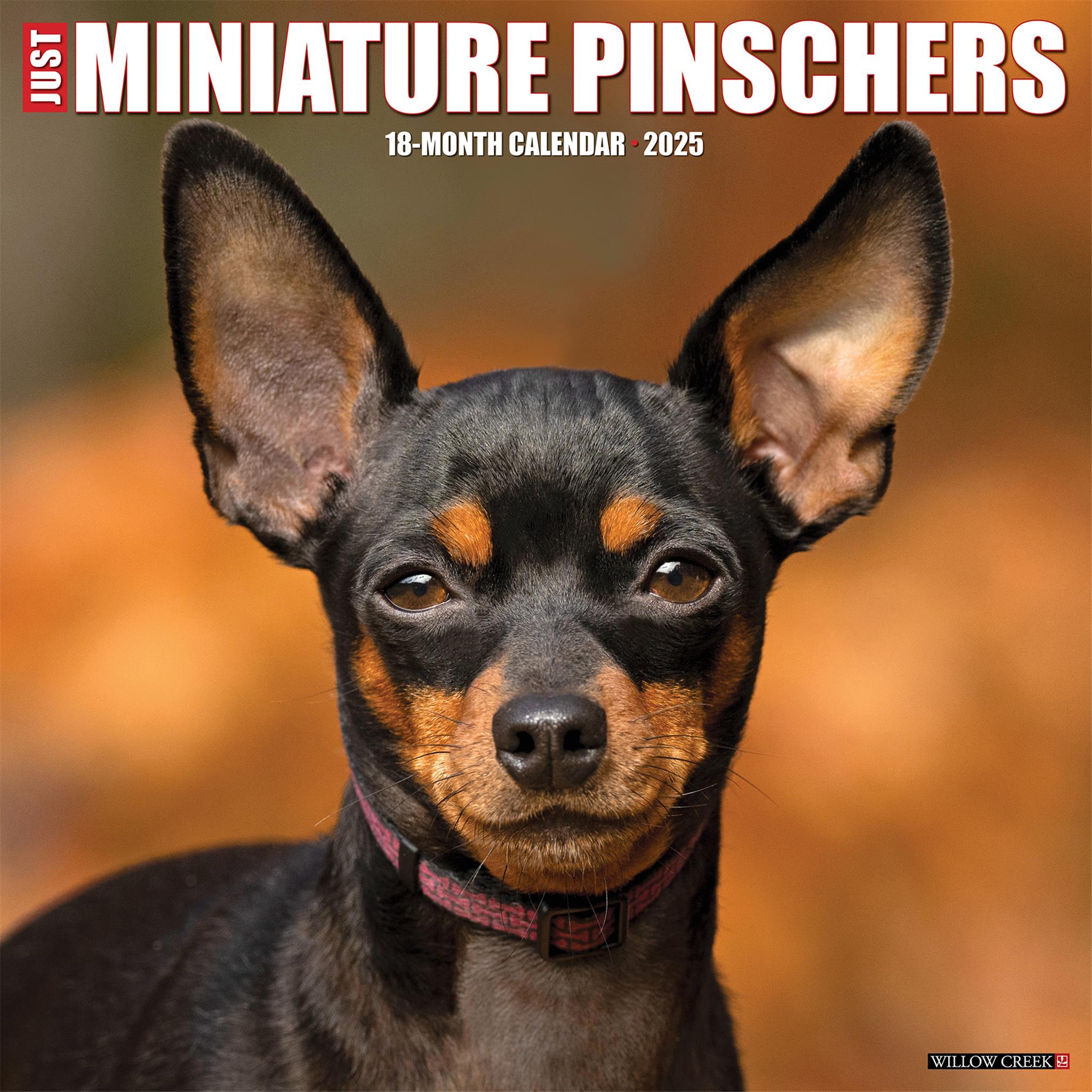 Just Miniature Pinschers Wall 2025 Calendar - Online Exclusive