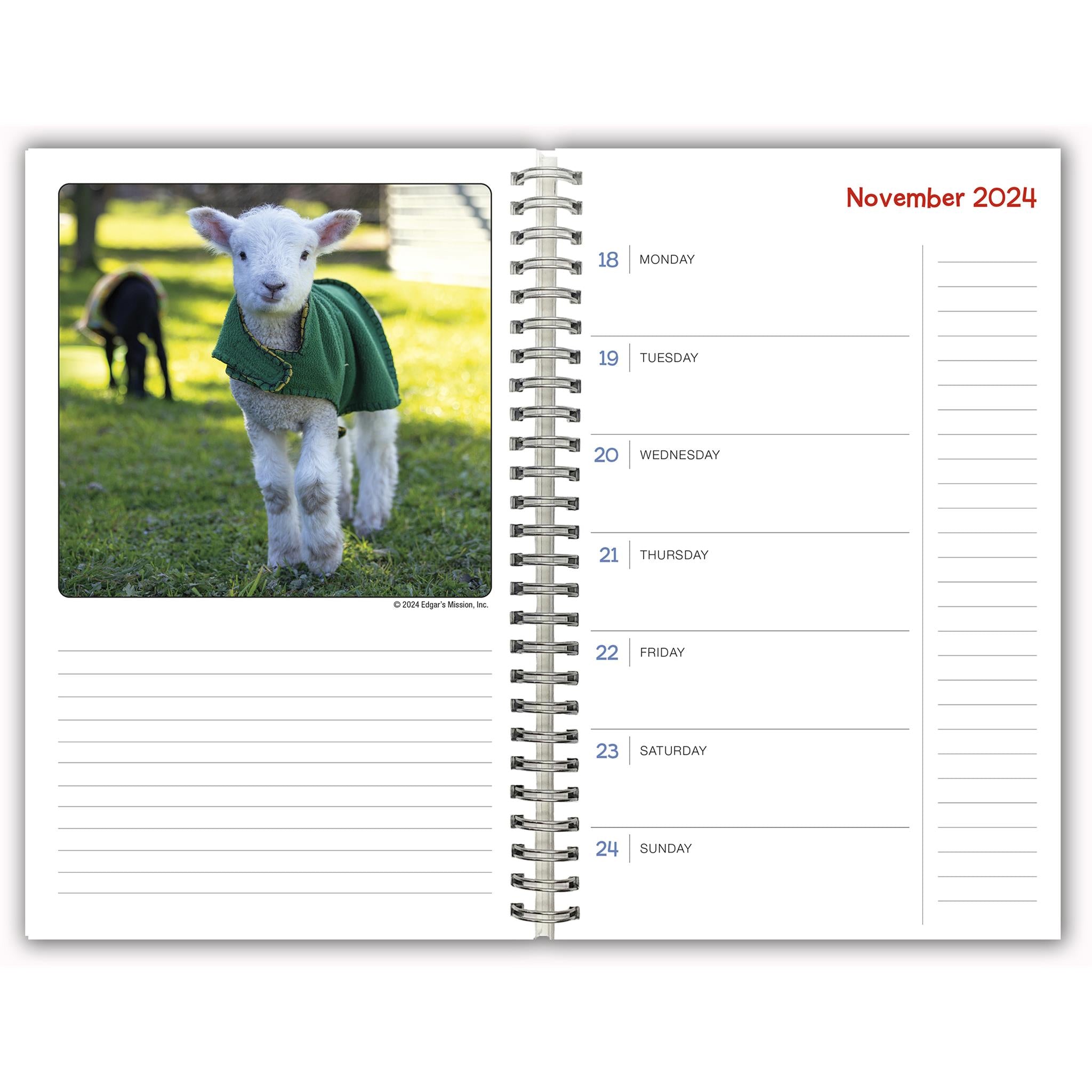 Lambies In Jammies And Goats In Coats Engagement 2025 Calendar - Online Exclusive