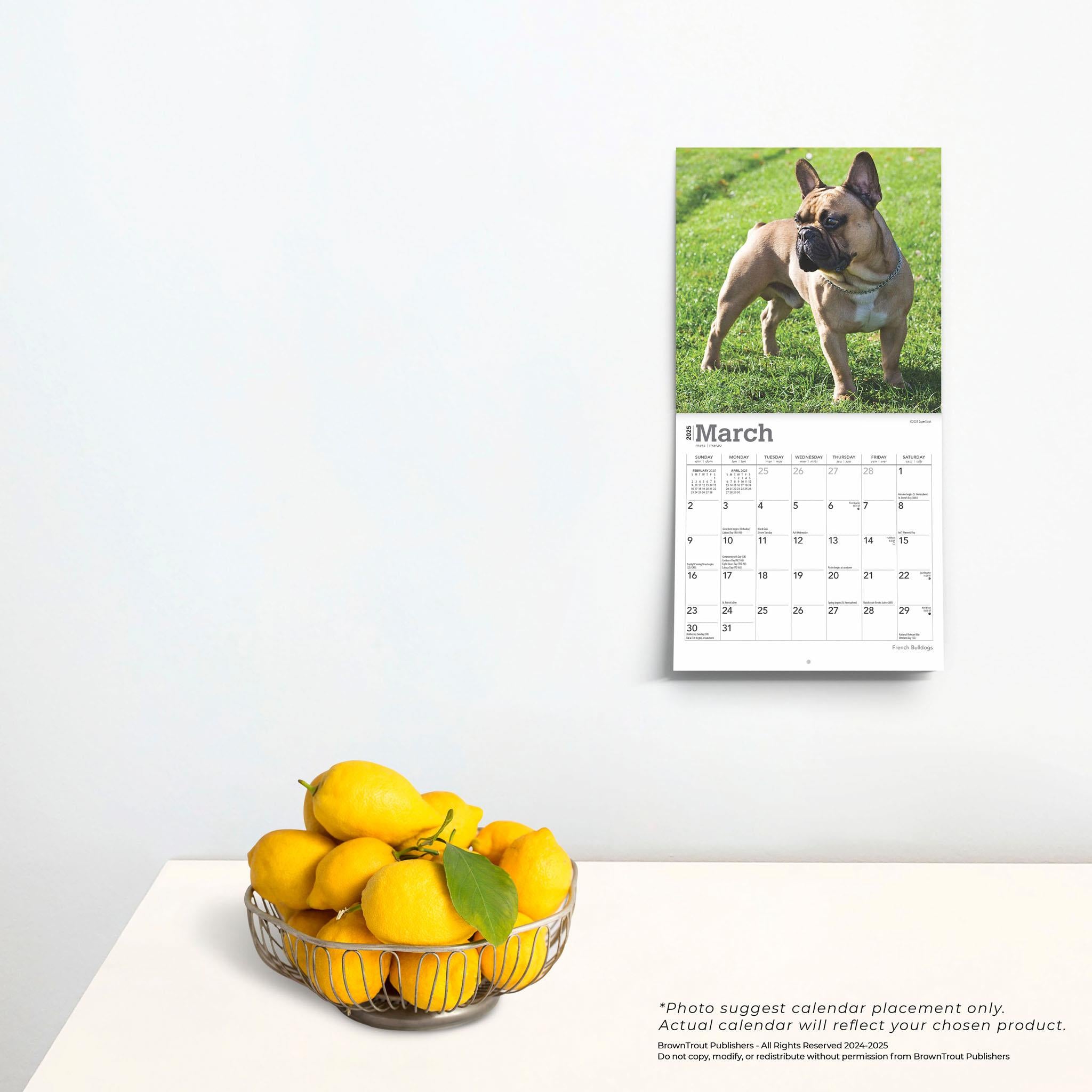 French Bulldogs Mini 2025 Calendar - Online Exclusive