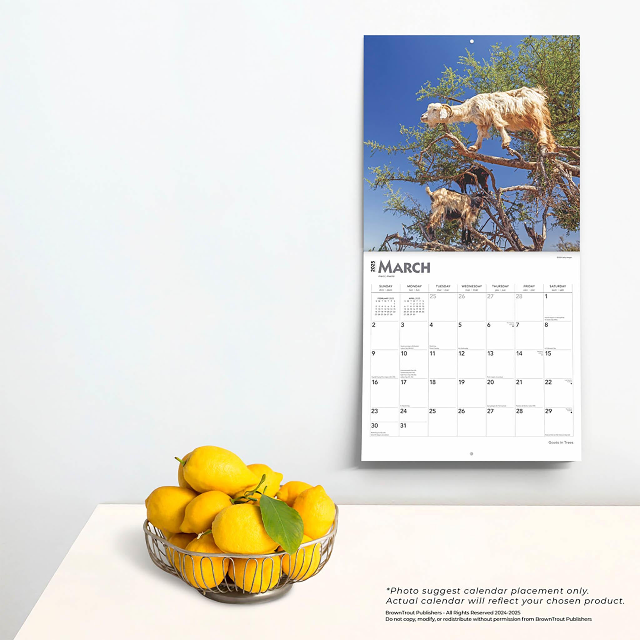 Goats In Trees Wall 2025 Calendar