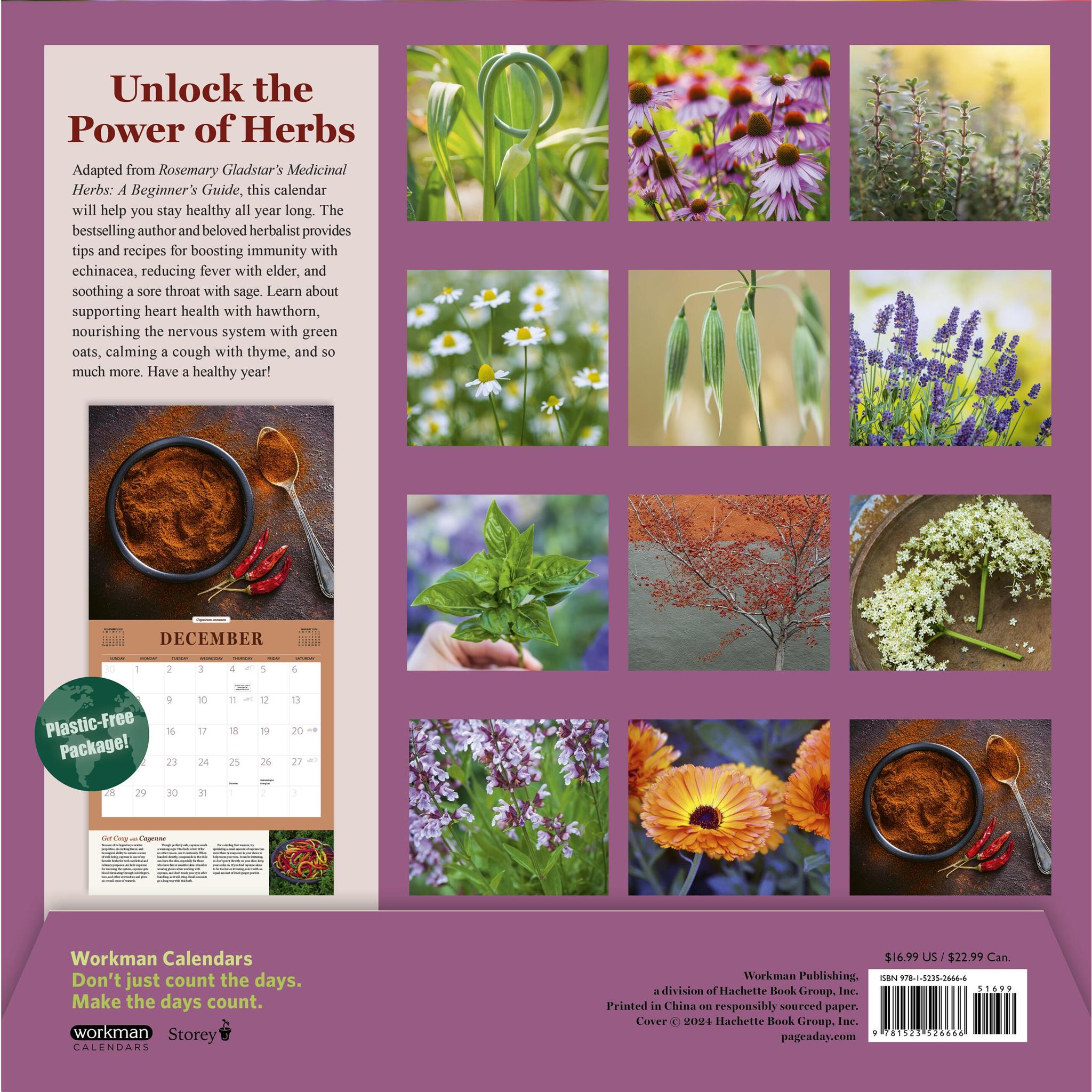 Herbs Wall 2025 Calendar