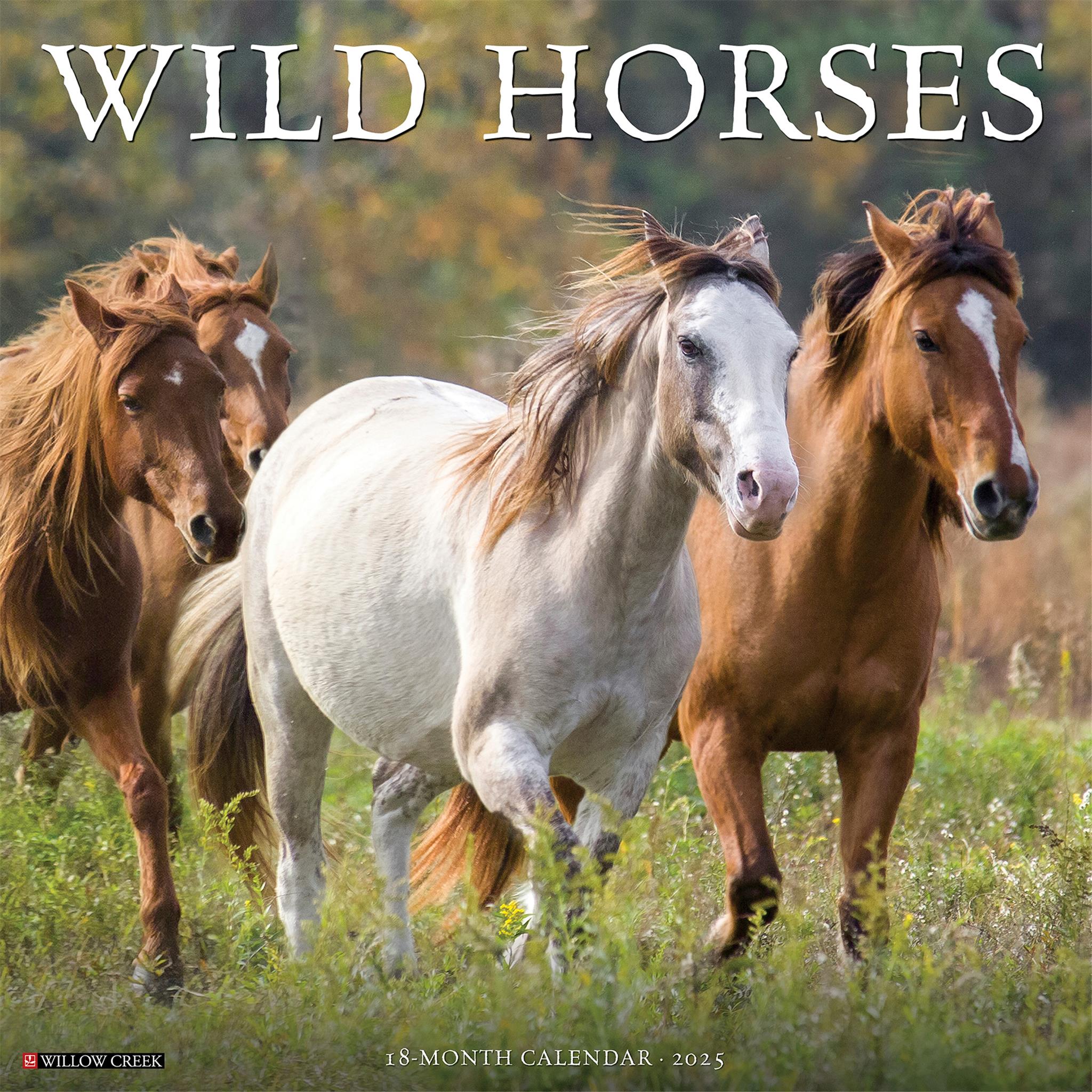 Wild Horses Wall 2025 Calendar
